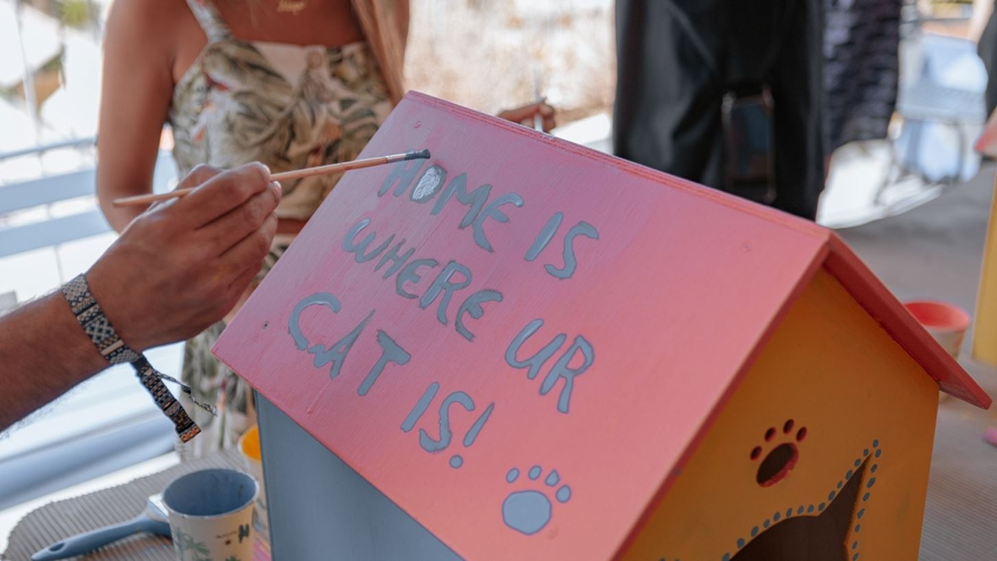 #arts4cats: &#x393;&#x3B1;&#x3C4;&#x3CC;&#x3C3;&#x3C0;&#x3B9;&#x3C4;&#x3B1; - &#x3AD;&#x3C1;&#x3B3;&#x3B1; &#x3C4;&#x3AD;&#x3C7;&#x3BD;&#x3B7;&#x3C2; &#x3B4;&#x3C9;&#x3C1;&#x3AF;&#x3B6;&#x3BF;&#x3BD;&#x3C4;&#x3B1;&#x3B9; &#x3BA;&#x3B1;&#x3B9; &#x3C4;&#x3BF;&#x3C0;&#x3BF;&#x3B8;&#x3B5;&#x3C4;&#x3BF;&#x3CD;&#x3BD;&#x3C4;&#x3B1;&#x3B9; &#x3C3;&#x3B5; &#x3BA;&#x3B1;&#x3C4;&#x3AC;&#x3BB;&#x3BB;&#x3B7;&#x3BB;&#x3B1; &#x3C3;&#x3B7;&#x3BC;&#x3B5;&#x3AF;&#x3B1; &#x3BC;&#x3AD;&#x3C3;&#x3B1; &#x3C3;&#x3C4;&#x3B7;&#x3BD; &#x3C0;&#x3CC;&#x3BB;&#x3B7;