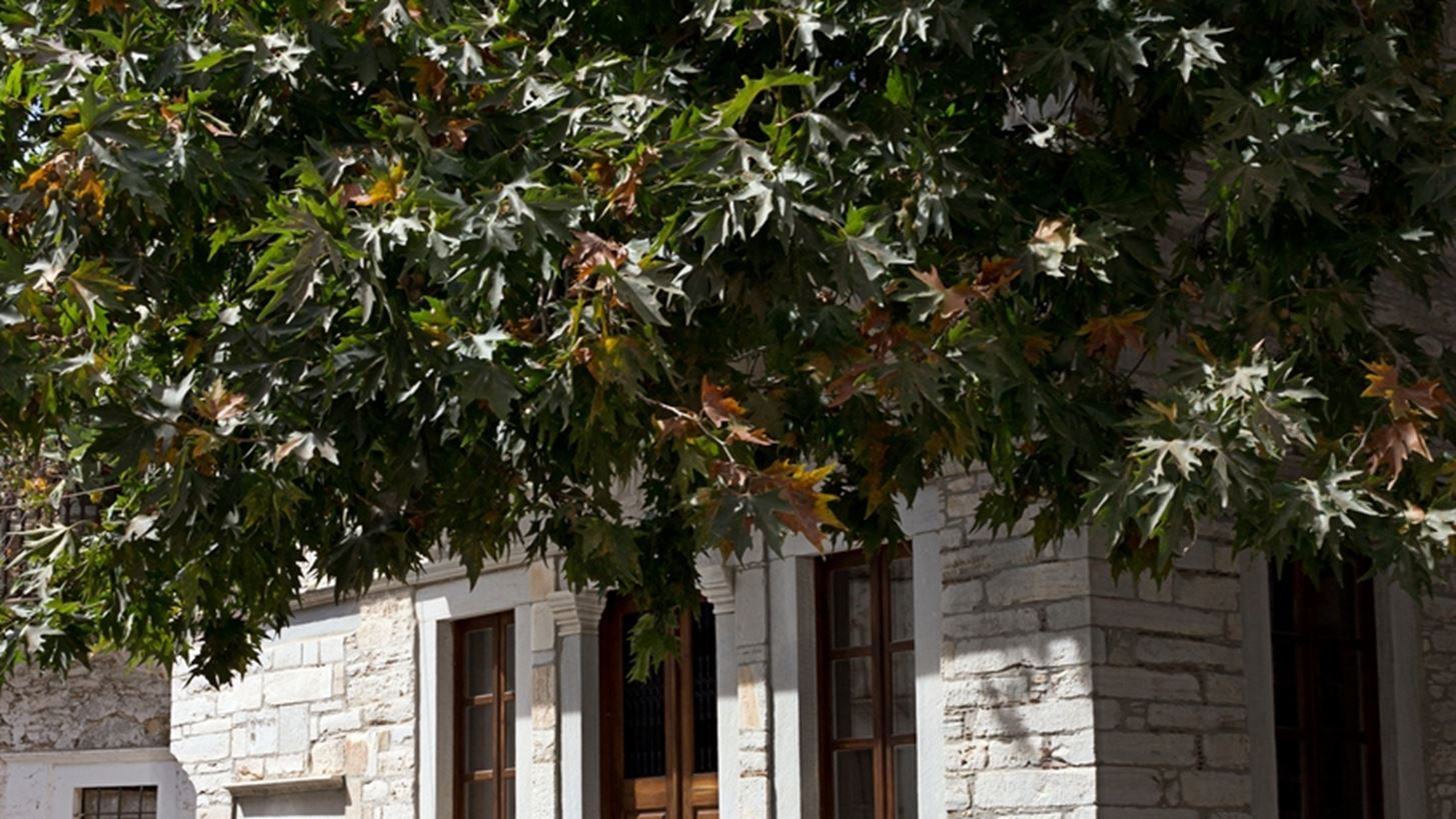 &#x3A3;&#x3C4;&#x3B7;&#x3BD; &#x391;&#x3C0;&#x3B5;&#x3AF;&#x3C1;&#x3B1;&#x3BD;&#x3B8;&#x3BF; &#x3B3;&#x3B9;&#x3B1; &#x3C4;&#x3B7;&#x3BD; &#x3C4;&#x3B1;&#x3B2;&#x3AD;&#x3C1;&#x3BD;&#x3B1; &#x3C4;&#x3BF;&#x3C5; &#x391;&#x3BC;&#x3BF;&#x3C1;&#x3B3;&#x3B9;&#x3BD;&#x3BF;&#x3CD;