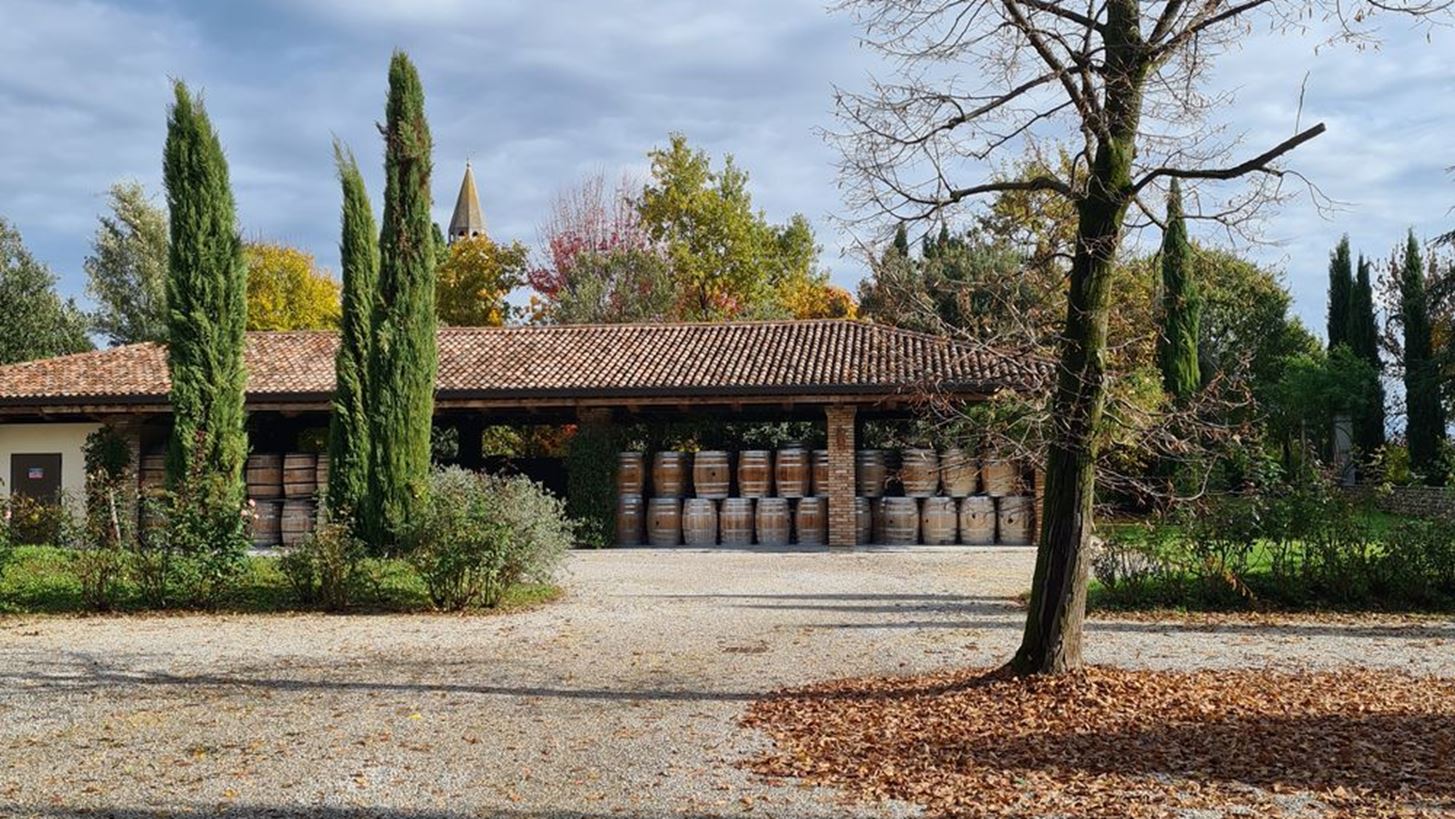 #Tidbits *: &#x395;&#x3C3;&#x3CD; &#x3C0;&#x3CC;&#x3C3;&#x3B1; &#x3C0;&#x3C1;&#x3AC;&#x3B3;&#x3BC;&#x3B1;&#x3C4;&#x3B1; &#x3B3;&#x3BD;&#x3C9;&#x3C1;&#x3AF;&#x3B6;&#x3B5;&#x3B9;&#x3C2; &#x3B3;&#x3B9;&#x3B1; &#x3C4;&#x3B7;&#x3BD; grappa;