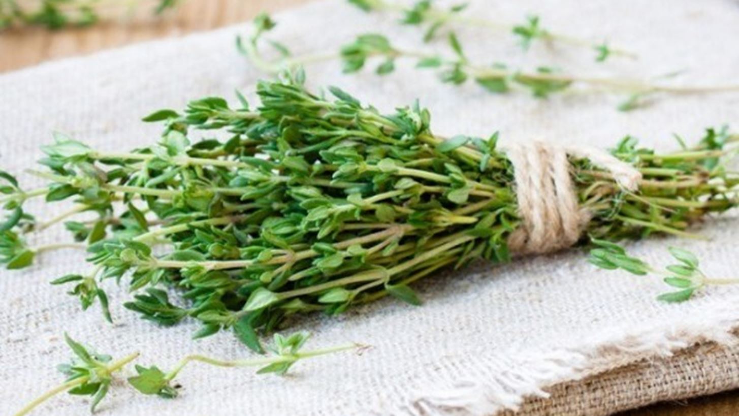 Το ήξερες ότι το θυμάρι μπορεί να έχει "παρενέργειες"; Μάθε πότε ΔΕΝ σου κάνει καλό!