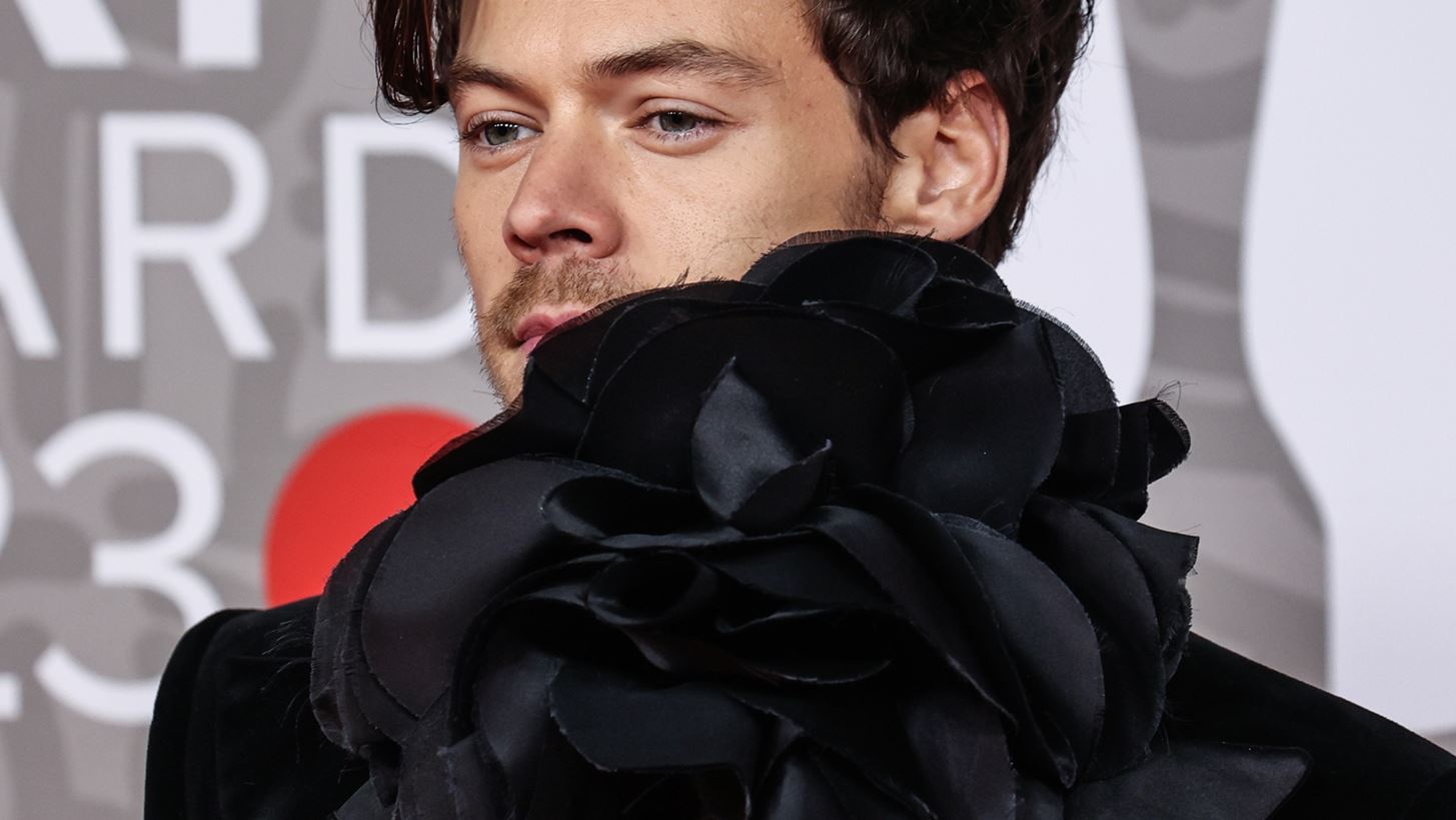 Harry Styles | &#x3A4;&#x3BF; &#x3B9;&#x3B4;&#x3B9;&#x3B1;&#x3AF;&#x3C4;&#x3B5;&#x3C1;&#x3BF; &#x3C8;&#x3B5;&#x3C5;&#x3B4;&#x3CE;&#x3BD;&#x3C5;&#x3BC;&#x3BF; &#x3C0;&#x3BF;&#x3C5; &#x3C7;&#x3C1;&#x3B7;&#x3C3;&#x3B9;&#x3BC;&#x3BF;&#x3C0;&#x3BF;&#x3B9;&#x3B5;&#x3AF; &#x3CC;&#x3C4;&#x3B1;&#x3BD; &#x3B8;&#x3AD;&#x3BB;&#x3B5;&#x3B9; &#x3BD;&#x3B1; &#x3BC;&#x3B5;&#x3AF;&#x3BD;&#x3B5;&#x3B9; &#x3BA;&#x3C1;&#x3C5;&#x3C6;&#x3AC; &#x3C3;&#x3B5; &#x3BE;&#x3B5;&#x3BD;&#x3BF;&#x3B4;&#x3BF;&#x3C7;&#x3B5;&#x3AF;&#x3BF;