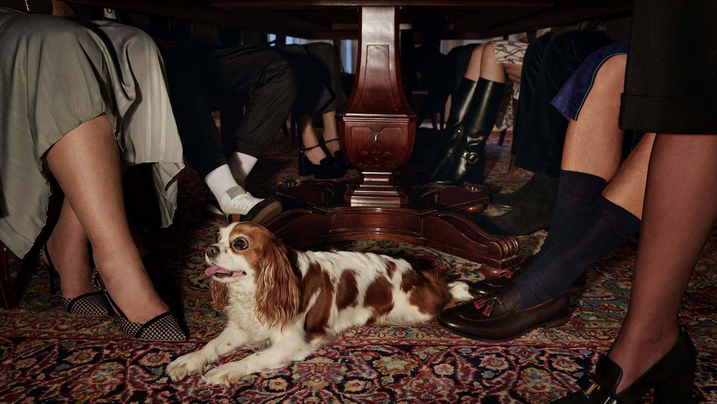 &#x396;&#x3AE;&#x3C3;&#x3B5; &#x3C4;&#x3B7;&#x3BD; &#x3B1;&#x3C0;&#x3CC;&#x3BB;&#x3C5;&#x3C4;&#x3B7; &#x3B5;&#x3BC;&#x3C0;&#x3B5;&#x3B9;&#x3C1;&#x3AF;&#x3B1; shopping &#x3C3;&#x3C4;&#x3BF; &#x3B1;&#x3BD;&#x3B1;&#x3BD;&#x3B5;&#x3C9;&#x3BC;&#x3AD;&#x3BD;&#x3BF; &#x3B7;&#x3BB;&#x3B5;&#x3BA;&#x3C4;&#x3C1;&#x3BF;&#x3BD;&#x3B9;&#x3BA;&#x3CC; &#x3BA;&#x3B1;&#x3C4;&#x3AC;&#x3C3;&#x3C4;&#x3B7;&#x3BC;&#x3B1; KALOGIROU