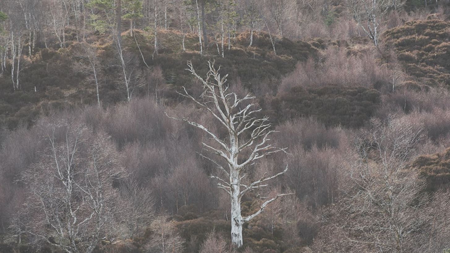 &#x38C;&#x3BB;&#x3B1; &#x3CC;&#x3C3;&#x3B1; &#x3B8;&#x3B1; &#x3BA;&#x3AC;&#x3BD;&#x3BF;&#x3C5;&#x3BC;&#x3B5; &#x3C4;&#x3BF; &#x3A3;&#x3B1;&#x3B2;&#x3B2;&#x3B1;&#x3C4;&#x3BF;&#x3BA;&#x3CD;&#x3C1;&#x3B9;&#x3B1;&#x3BA;&#x3BF; &#x3C3;&#x3C4;&#x3B7;&#x3BD; &#x3C0;&#x3CC;&#x3BB;&#x3B7;