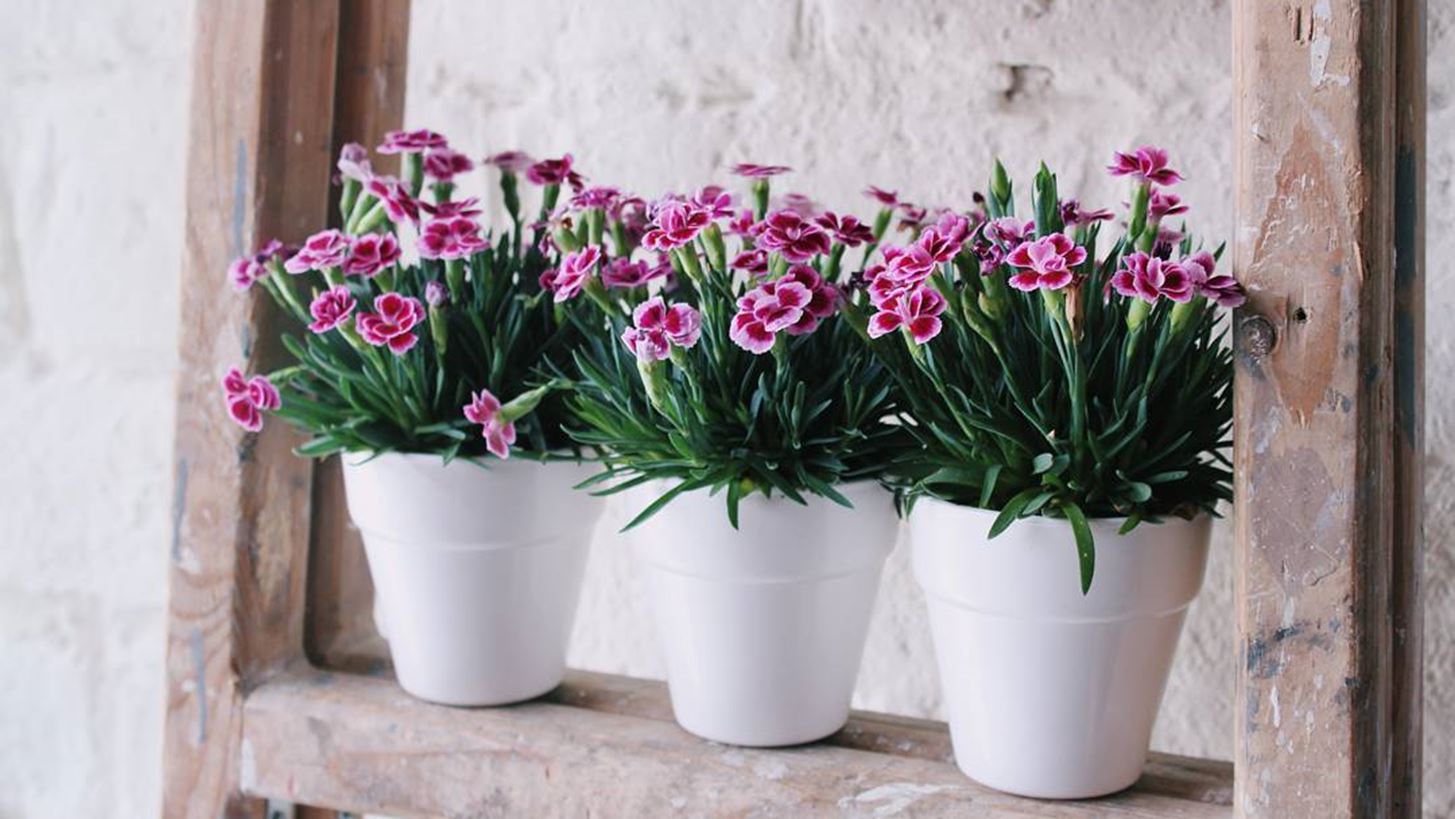 10 Instagram &#x3BB;&#x3BF;&#x3B3;&#x3B1;&#x3C1;&#x3B9;&#x3B1;&#x3C3;&#x3BC;&#x3BF;&#x3AF; &#x3C6;&#x3AD;&#x3C1;&#x3BD;&#x3BF;&#x3C5;&#x3BD; &#x3C4;&#x3B7;&#x3BD; &#x386;&#x3BD;&#x3BF;&#x3B9;&#x3BE;&#x3B7;