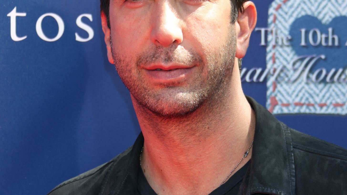 David Schwimmer | &#x39F;&#x3B9; &#x3C6;&#x3C9;&#x3C4;&#x3BF;&#x3B3;&#x3C1;&#x3B1;&#x3C6;&#x3AF;&#x3B5;&#x3C2; &#x3B1;&#x3C0;&#x3CC; &#x3C4;&#x3B1; &#x3C0;&#x3B1;&#x3C1;&#x3B1;&#x3C3;&#x3BA;&#x3AE;&#x3BD;&#x3B9;&#x3B1; &#x3C4;&#x3BF;&#x3C5; Friends Reunion