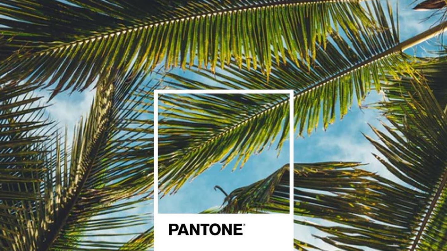 &#x397; Pantone &#x3B1;&#x3BD;&#x3B1;&#x3BA;&#x3BF;&#x3AF;&#x3BD;&#x3C9;&#x3C3;&#x3B5; &#x3C4;&#x3BF; &#x3C7;&#x3C1;&#x3CE;&#x3BC;&#x3B1; &#x3C4;&#x3B7;&#x3C2; &#x3C7;&#x3C1;&#x3BF;&#x3BD;&#x3B9;&#x3AC;&#x3C2; &#x3B3;&#x3B9;&#x3B1; &#x3C4;&#x3BF; 2019
