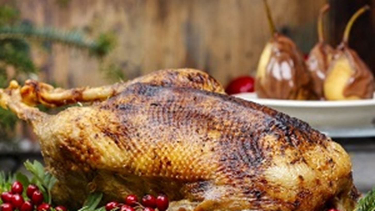 3 &#x3C3;&#x3C5;&#x3BC;&#x3B2;&#x3BF;&#x3C5;&#x3BB;&#x3AD;&#x3C2; &#x3B3;&#x3B9;&#x3B1; &#x3C4;&#x3B7; &#x3B3;&#x3B1;&#x3BB;&#x3BF;&#x3C0;&#x3BF;&#x3CD;&#x3BB;&#x3B1; &#x3C4;&#x3B7;&#x3C2; &#x3A0;&#x3C1;&#x3C9;&#x3C4;&#x3BF;&#x3C7;&#x3C1;&#x3BF;&#x3BD;&#x3B9;&#x3AC;&#x3C2; (&#x3BA;&#x3B1;&#x3B9; &#x3B7; &#x3C4;&#x3AD;&#x3BB;&#x3B5;&#x3B9;&#x3B1; &#x3C3;&#x3C5;&#x3BD;&#x3C4;&#x3B1;&#x3B3;&#x3AE; &#x3B3;&#x3B9;&#x3B1; &#x3B3;&#x3B1;&#x3BB;&#x3BF;&#x3C0;&#x3BF;&#x3CD;&#x3BB;&#x3B1; &#x3BC;&#x3B5; &#x3C0;&#x3BF;&#x3C1;&#x3C4;&#x3BF;&#x3BA;&#x3AC;&#x3BB;&#x3B9; &#x3B1;&#x3C0;&#x3CC; &#x3C4;&#x3BF;&#x3BD; chef)!