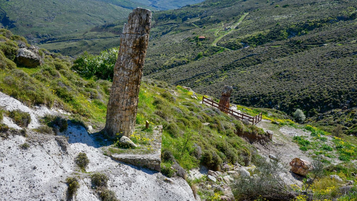 &#x397; &#x3AC;&#x3BB;&#x3BB;&#x3B7; &#x39B;&#x3AD;&#x3C3;&#x3B2;&#x3BF;&#x3C2; | &#x39F;&#x3B4;&#x3BF;&#x3B9;&#x3C0;&#x3BF;&#x3C1;&#x3B9;&#x3BA;&#x3CC; &#x3C3;&#x3B5; &#x3C3;&#x3B7;&#x3BC;&#x3B5;&#x3AF;&#x3B1; &#x3C4;&#x3BF;&#x3C5; &#x3BD;&#x3B7;&#x3C3;&#x3B9;&#x3BF;&#x3CD; &#x3C0;&#x3BF;&#x3C5; &#x3B4;&#x3B5;&#x3BD; &#x3AD;&#x3C7;&#x3B5;&#x3B9;&#x3C2; (&#x3BA;&#x3B1;&#x3B9; &#x3C0;&#x3C1;&#x3AD;&#x3C0;&#x3B5;&#x3B9; &#x3BD;&#x3B1;) &#x3B5;&#x3C0;&#x3B9;&#x3C3;&#x3BA;&#x3B5;&#x3C6;&#x3C4;&#x3B5;&#x3AF;&#x3C2;