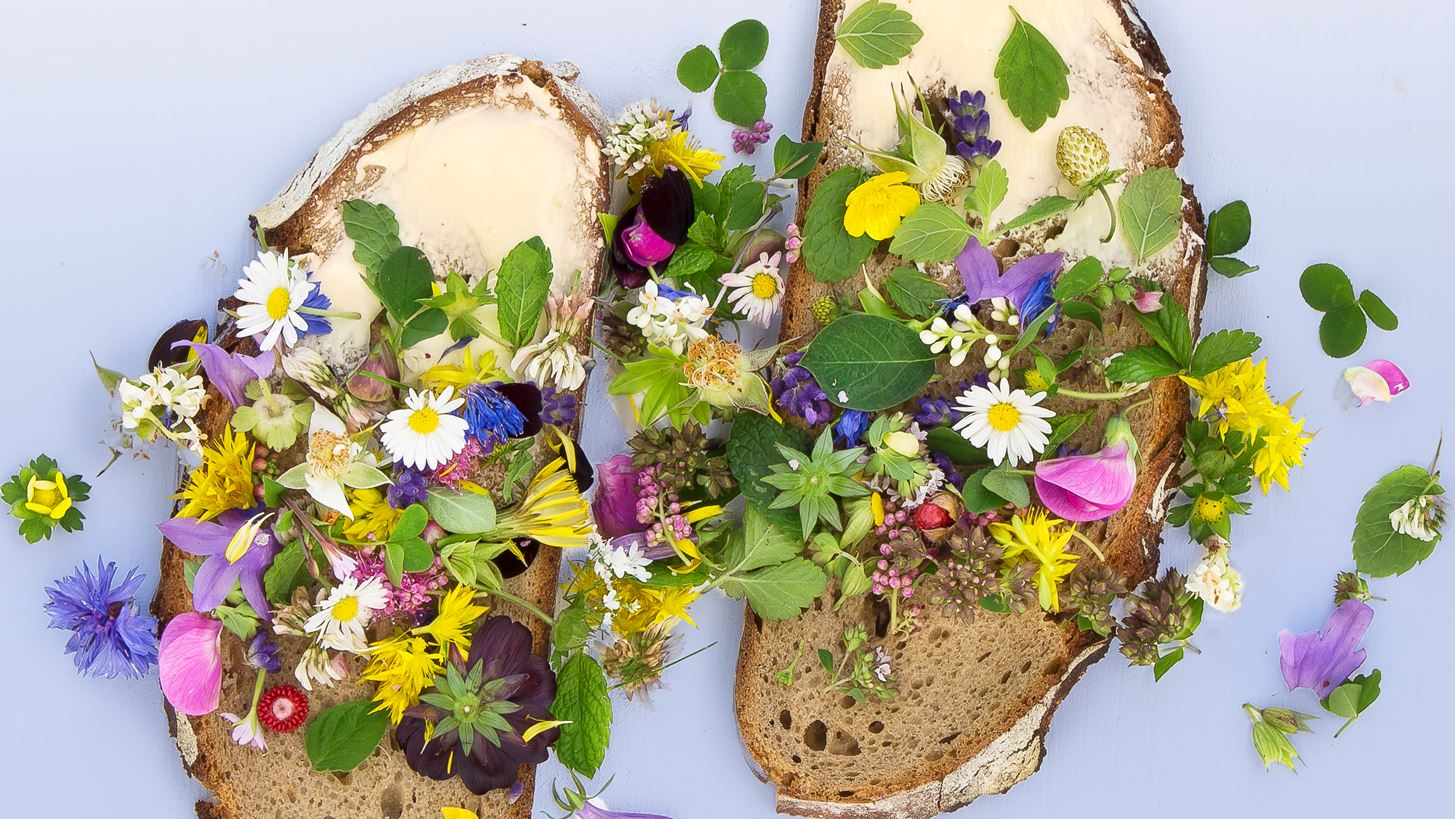 &#x3A4;&#x3BF; &#x3C4;&#x3B5;&#x3BB;&#x3B5;&#x3C5;&#x3C4;&#x3B1;&#x3AF;&#x3BF; trend &#x3C3;&#x3C4;&#x3BF; Instagram &#x3BC;&#x3B5;&#x3C4;&#x3B1;&#x3C4;&#x3C1;&#x3AD;&#x3C0;&#x3B5;&#x3B9; &#x3C4;&#x3B7;&#x3BD; focaccia &#x3C3;&#x3B5; &#x3AD;&#x3BD;&#x3B1; &#x3C5;&#x3C0;&#x3AD;&#x3C1;&#x3BF;&#x3C7;&#x3BF; &#x3BA;&#x3B1;&#x3C4;&#x3B1;&#x3C0;&#x3C1;&#x3AC;&#x3C3;&#x3B9;&#x3BD;&#x3BF; &#x3C4;&#x3BF;&#x3C0;&#x3AF;&#x3BF;