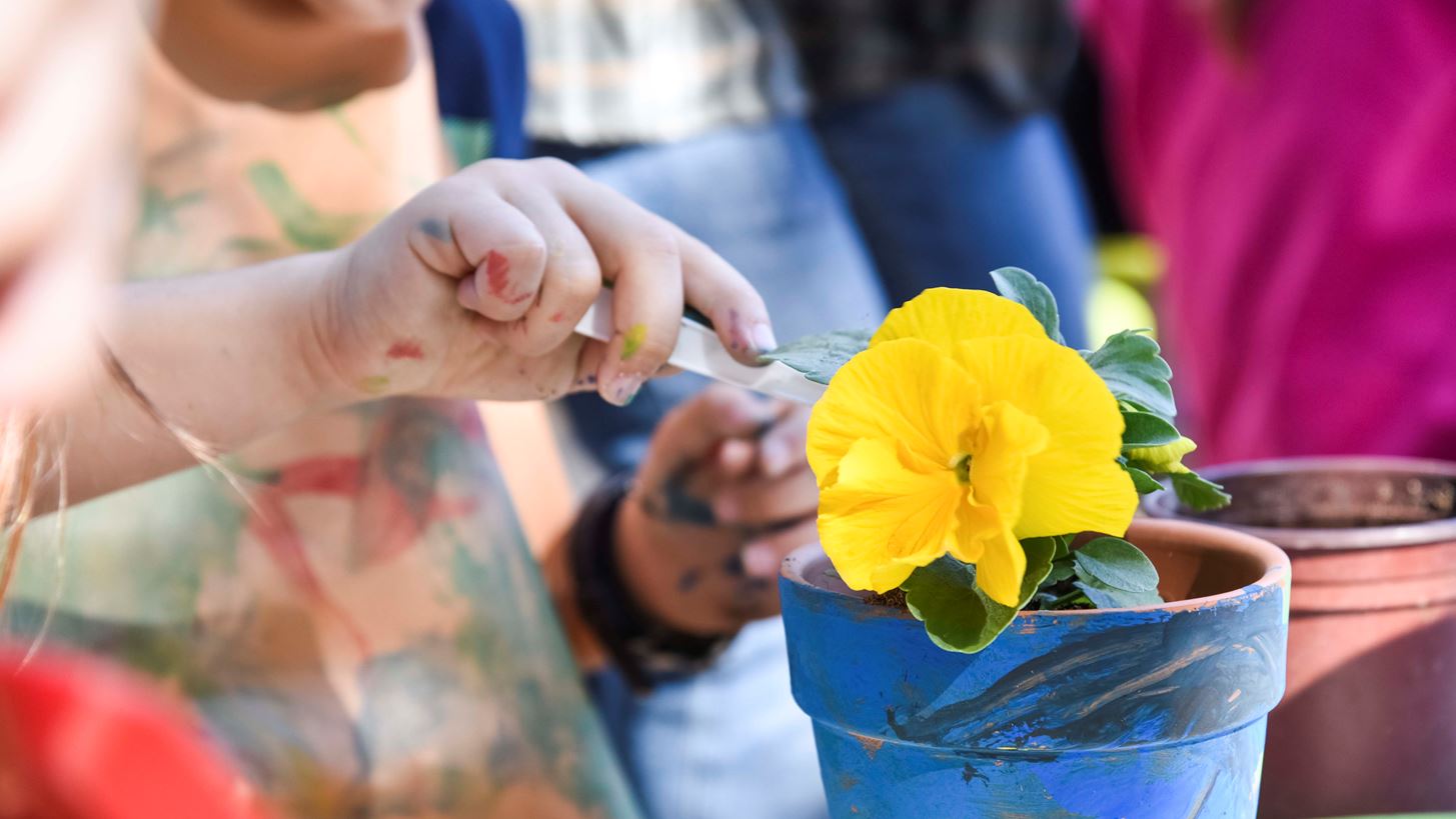 Flower power: &#x392;&#x3C1;&#x3B5;&#x3C2; &#x3C4;&#x3B1; &#x3C0;&#x3B9;&#x3BF; &#x3C9;&#x3C1;&#x3B1;&#x3AF;&#x3B1; &#x3BB;&#x3BF;&#x3C5;&#x3BB;&#x3BF;&#x3CD;&#x3B4;&#x3B9;&#x3B1; &#x3C3;&#x3C4;&#x3B7;&#x3BD; &#x391;&#x3B8;&#x3AE;&#x3BD;&#x3B1; &#x3BA;&#x3B1;&#x3B9; &#x3B4;&#x3B9;&#x3B1;&#x3C3;&#x3BA;&#x3AD;&#x3B4;&#x3B1;&#x3C3;&#x3B5; &#x3C6;&#x3C5;&#x3C4;&#x3B5;&#x3CD;&#x3BF;&#x3BD;&#x3C4;&#x3B1;&#x3C2;