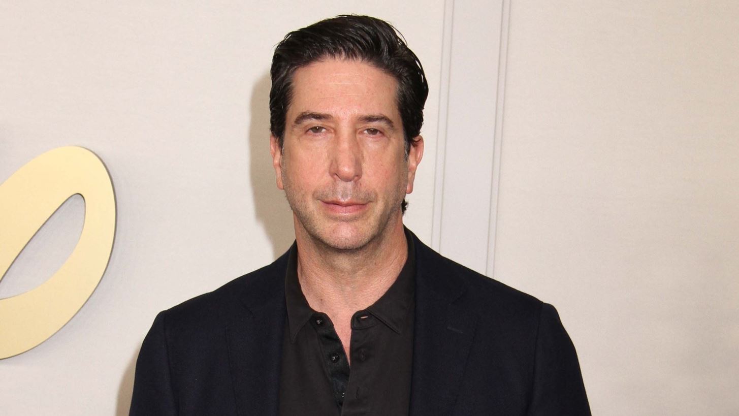 David Schwimmer | &#x3A4;&#x3B9; &#x3B1;&#x3C0;&#x3BF;&#x3BA;&#x3AC;&#x3BB;&#x3C5;&#x3C8;&#x3B5; &#x3B3;&#x3B9;&#x3B1; &#x3C4;&#x3B7; &#x3C3;&#x3C7;&#x3AD;&#x3C3;&#x3B7; &#x3C4;&#x3BF;&#x3C5; &#x3BC;&#x3B5; &#x3C4;&#x3BF;&#x3BD; Matthew Perry