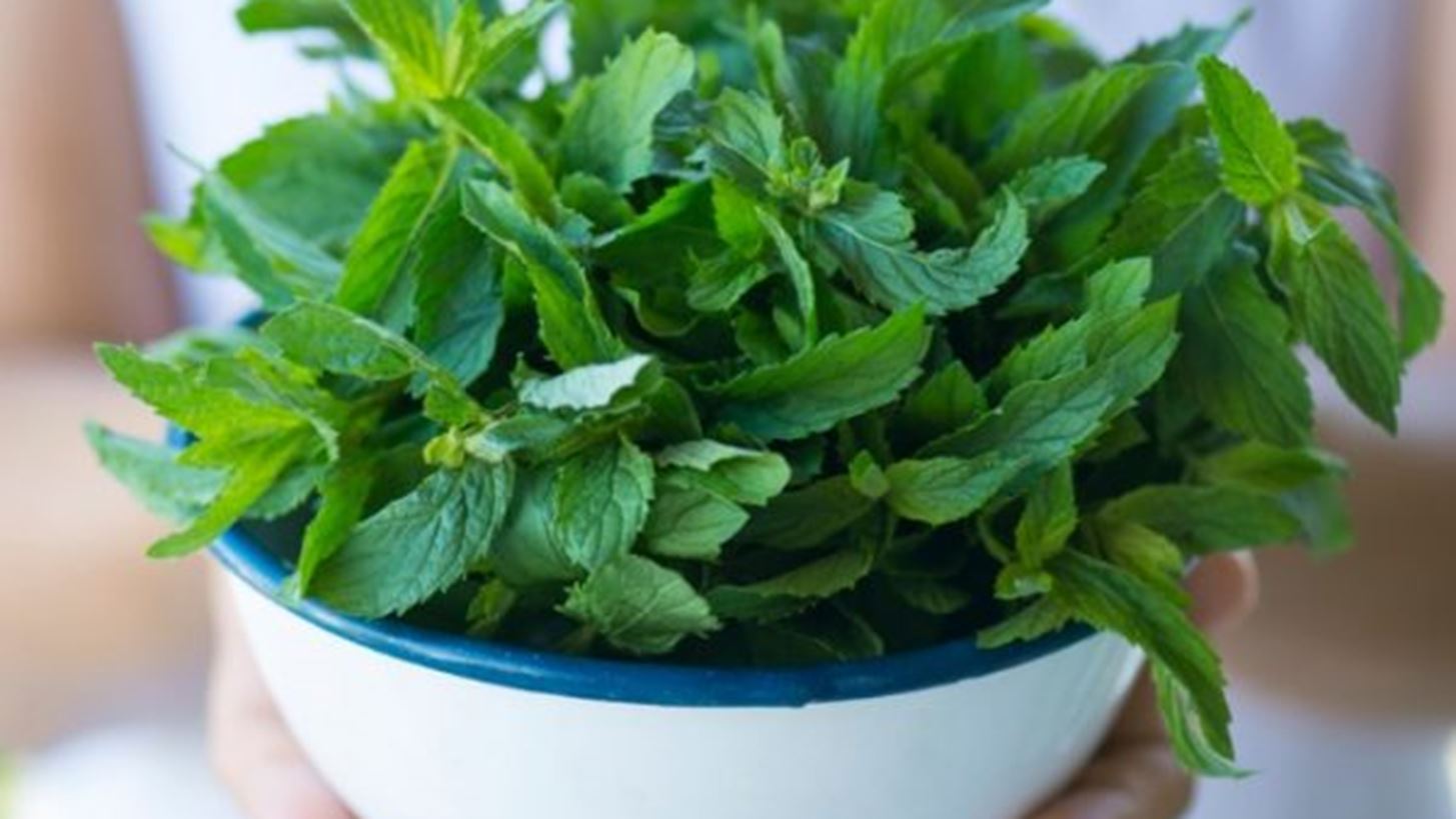 Πώς τα μυρωδικά θα σε βοηθήσουν στο αδυνάτισμα; Οι 7 καλύτερες επιλογές