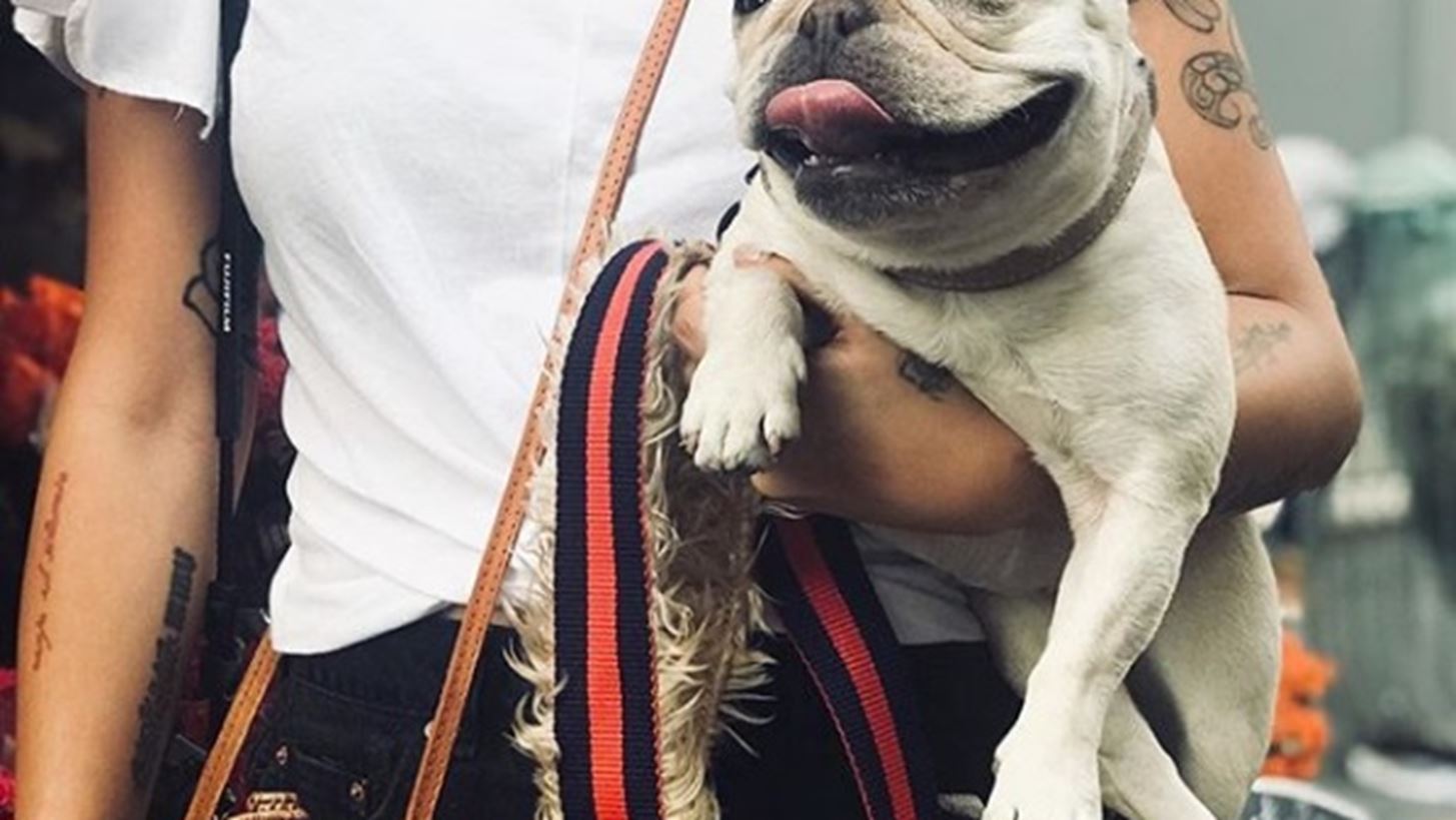 &#x393;&#x3B9;&#x3B1;&#x3C4;&#x3AF; &#x3BD;&#x3B1; &#x3B1;&#x3BB;&#x3BB;&#x3AC;&#x3BE;&#x3B5;&#x3B9;&#x3C2; &#x3C4;&#x3B9;&#x3C2; &#x3C3;&#x3C5;&#x3BD;&#x3AE;&#x3B8;&#x3B5;&#x3B9;&#x3AD;&#x3C2; &#x3C3;&#x3BF;&#x3C5; &#x3BC;&#x3B5;&#x3C4;&#x3AC; &#x3C4;&#x3B7; &#x3B4;&#x3BF;&#x3C5;&#x3BB;&#x3B5;&#x3B9;&#x3AC;