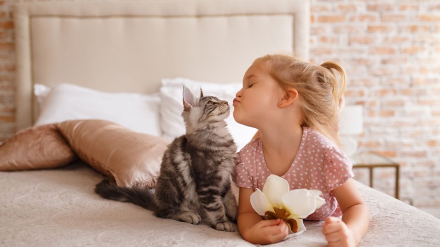 7 tips &#x3B3;&#x3B9;&#x3B1; &#x3BD;&#x3B1; &#x3BA;&#x3B1;&#x3BB;&#x3BB;&#x3B9;&#x3B5;&#x3C1;&#x3B3;&#x3AE;&#x3C3;&#x3BF;&#x3C5;&#x3BC;&#x3B5; &#x3C4;&#x3B7;&#x3BD; &#x3B5;&#x3BD;&#x3C3;&#x3C5;&#x3BD;&#x3B1;&#x3AF;&#x3C3;&#x3B8;&#x3B7;&#x3C3;&#x3B7; &#x3C3;&#x3C4;&#x3B1; &#x3C0;&#x3B1;&#x3B9;&#x3B4;&#x3B9;&#x3AC;