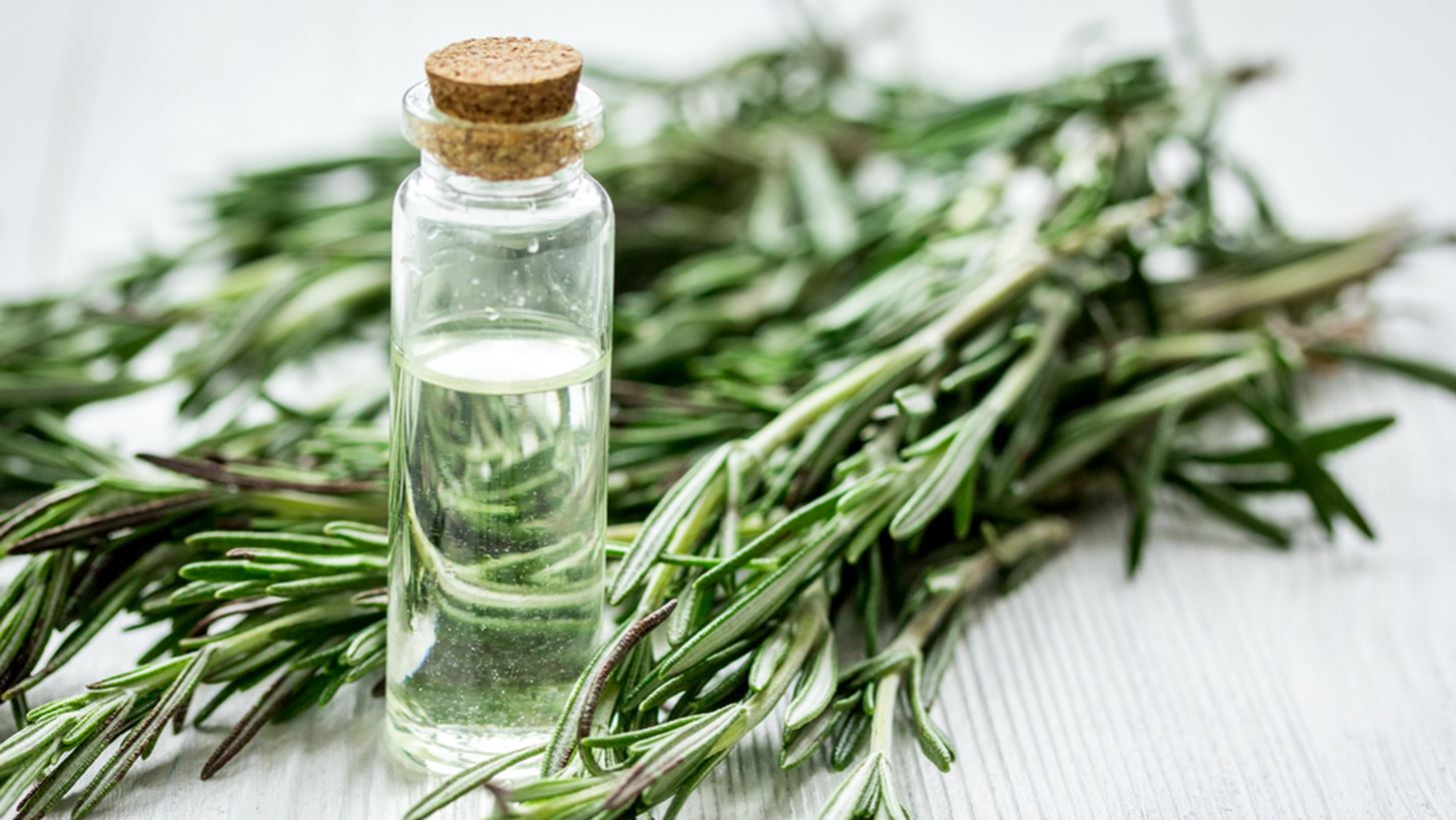 5 λόγοι για να βάλεις το αιθέριο έλαιο δεντρολίβανου στη ρουτίνα ομορφιάς σου