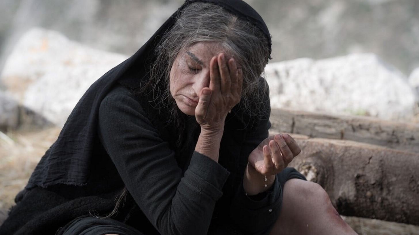 &#x392;&#x3C1;&#x3B1;&#x3B2;&#x3B5;&#x3AF;&#x3B1; &#x38A;&#x3C1;&#x3B9;&#x3C2; 2024 | &#x3A0;&#x3BF;&#x3CD; &#x3B8;&#x3B1; &#x3B4;&#x3BF;&#x3CD;&#x3BC;&#x3B5; &#x3BE;&#x3B1;&#x3BD;&#x3AC; &#x3C4;&#x3B9;&#x3C2; &#x3C5;&#x3C0;&#x3BF;&#x3C8;&#x3AE;&#x3C6;&#x3B9;&#x3B5;&#x3C2; &#x3C4;&#x3B1;&#x3B9;&#x3BD;&#x3AF;&#x3B5;&#x3C2;