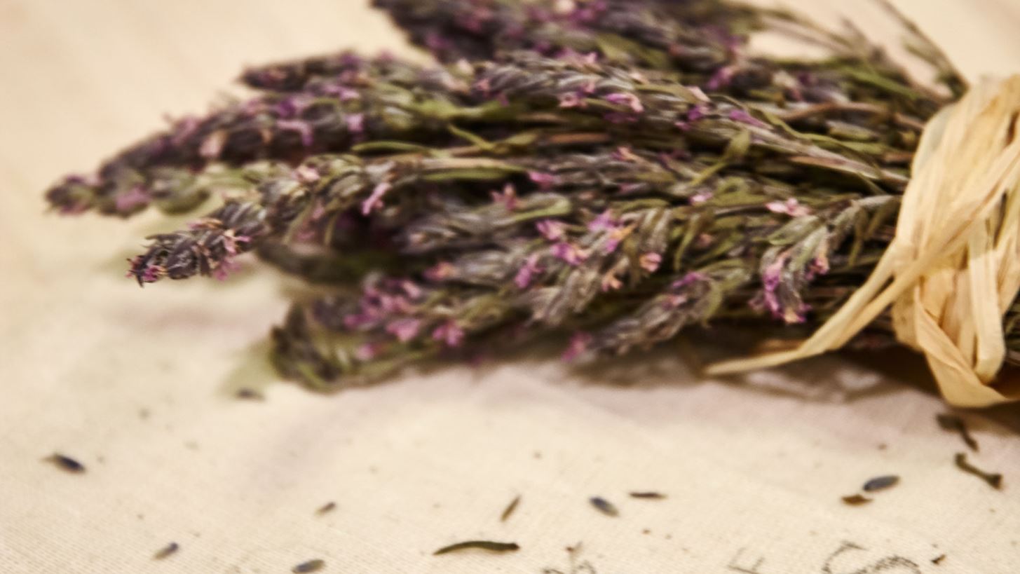 Detox με σύμμαχο τη φύση: Τα καλύτερα βότανα για τον οργανισμό σου