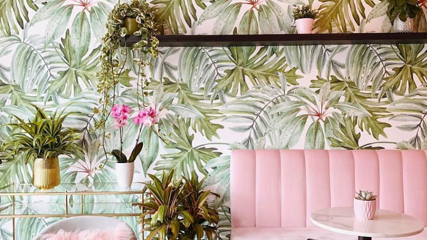 &#x391;&#x3C5;&#x3C4;&#x3CC; &#x3B5;&#x3AF;&#x3BD;&#x3B1;&#x3B9; &#x3C4;&#x3BF; &#x3C0;&#x3B9;&#x3BF; instagram-worthy caf&#xE9; &#x3C0;&#x3BF;&#x3C5; &#x3B5;&#x3AF;&#x3B4;&#x3B1;&#x3BC;&#x3B5; &#x3C4;&#x3B5;&#x3BB;&#x3B5;&#x3C5;&#x3C4;&#x3B1;&#x3AF;&#x3B1;