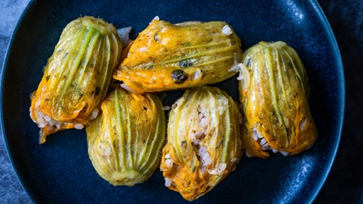 &#x39A;&#x3BF;&#x3BB;&#x3BF;&#x3BA;&#x3C5;&#x3B8;&#x3BF;&#x3B1;&#x3BD;&#x3B8;&#x3BF;&#x3AF; &#x393;&#x3B5;&#x3BC;&#x3B9;&#x3C3;&#x3C4;&#x3BF;&#x3AF; &#x3BC;&#x3B5; &#x3A1;&#x3CD;&#x3B6;&#x3B9; &#x3BA;&#x3B1;&#x3B9; &#x39C;&#x3B1;&#x3BD;&#x3B9;&#x3C4;&#x3AC;&#x3C1;&#x3B9;&#x3B1;