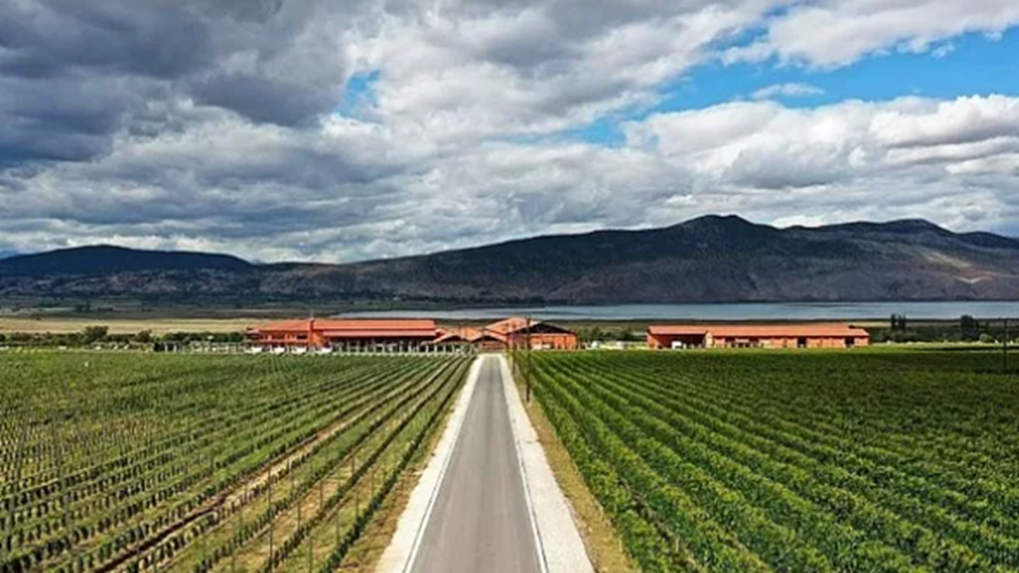 &#x3A4;&#x3C1;&#x3AF;&#x3B1; &#x3B5;&#x3BB;&#x3BB;&#x3B7;&#x3BD;&#x3B9;&#x3BA;&#x3AC; &#x3BF;&#x3B9;&#x3BD;&#x3BF;&#x3C0;&#x3BF;&#x3B9;&#x3B5;&#x3AF;&#x3B1; &#x3C3;&#x3C4;&#x3B1; &#x3BA;&#x3B1;&#x3BB;&#x3CD;&#x3C4;&#x3B5;&#x3C1;&#x3B1; &#x3C4;&#x3BF;&#x3C5; &#x3BA;&#x3CC;&#x3C3;&#x3BC;&#x3BF;&#x3C5; &#x3B3;&#x3B9;&#x3B1; &#x3C4;&#x3BF; 2022