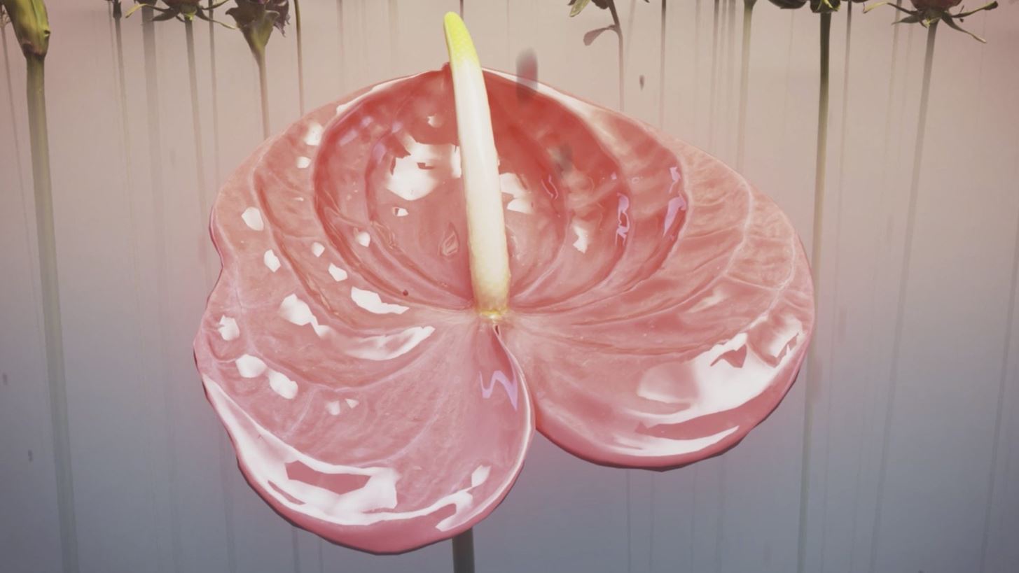 Like wildflowers in the cracks | 8 κινηματογραφικά έργα παρουσιάζονται στο Ίδρυμα Β. &amp; Μ. Θεοχαράκη