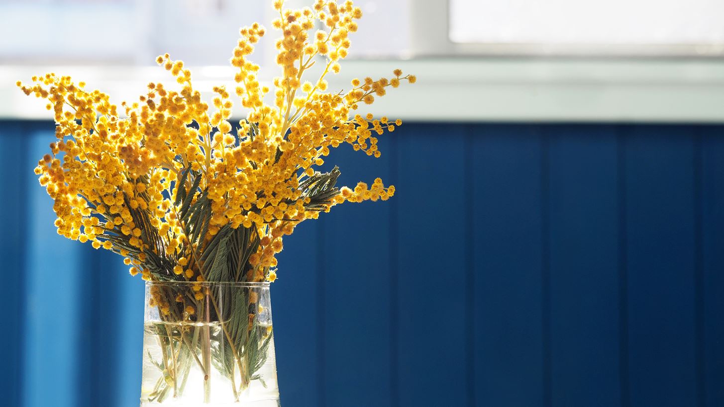 &#x39E;&#x3B5;&#x3C7;&#x3C9;&#x3C1;&#x3B9;&#x3C3;&#x3C4;&#x3AC; &#x3BE;&#x3B5;&#x3BD;&#x3BF;&#x3B4;&#x3BF;&#x3C7;&#x3B5;&#x3AF;&#x3B1; &#x3BA;&#x3B1;&#x3B9; &#x3B5;&#x3C3;&#x3C4;&#x3B9;&#x3B1;&#x3C4;&#x3CC;&#x3C1;&#x3B9;&#x3B1; &#x3C3;&#x3C4;&#x3BF;&#x3C5;&#x3C2; &#x3C0;&#x3B9;&#x3BF; &#x3B1;&#x3B3;&#x3B1;&#x3C0;&#x3B7;&#x3BC;&#x3AD;&#x3BD;&#x3BF;&#x3C5;&#x3C2; &#x3C0;&#x3B1;&#x3C3;&#x3C7;&#x3B1;&#x3BB;&#x3B9;&#x3BD;&#x3BF;&#x3CD;&#x3C2; &#x3C0;&#x3C1;&#x3BF;&#x3BF;&#x3C1;&#x3B9;&#x3C3;&#x3BC;&#x3BF;&#x3CD;&#x3C2;