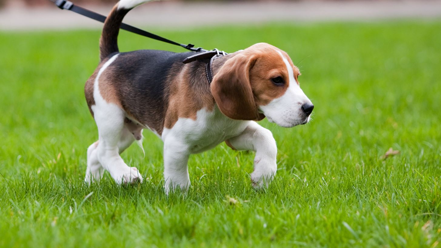 &#x3A4;&#x3B1; &#x3BF;&#x3C6;&#x3AD;&#x3BB;&#x3B7; &#x3C4;&#x3BF;&#x3C5; &#x3BD;&#x3B1; &#x3BA;&#x3BF;&#x3B9;&#x3BC;&#x3AC;&#x3C3;&#x3B1;&#x3B9; &#x3BC;&#x3B1;&#x3B6;&#x3AF; &#x3BC;&#x3B5; &#x3C4;&#x3BF;&#x3BD; &#x3C3;&#x3BA;&#x3CD;&#x3BB;&#x3BF; &#x3C3;&#x3BF;&#x3C5;