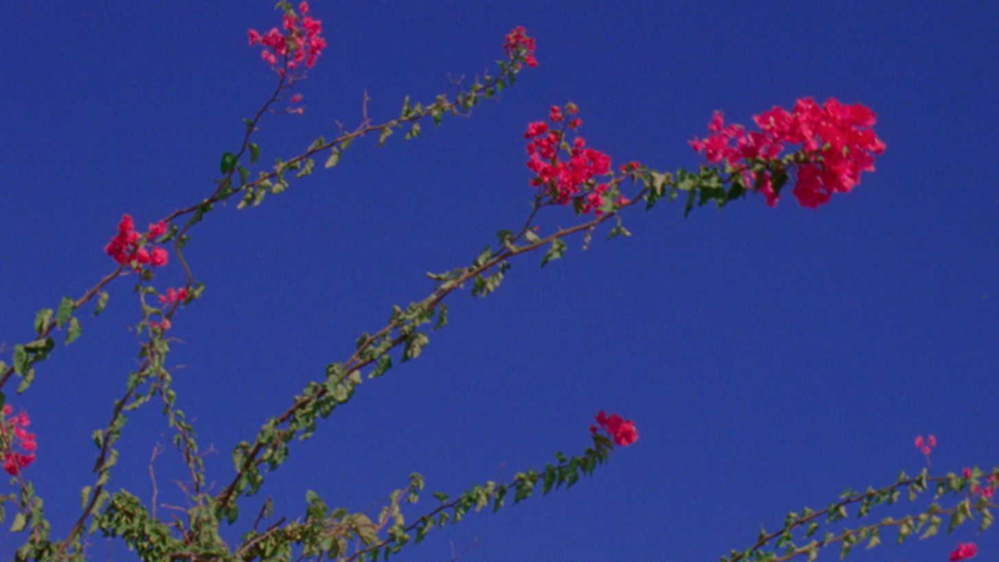 Ο οίκος Chanel θα παρουσιάσει το πρώτο του virtual fashion show