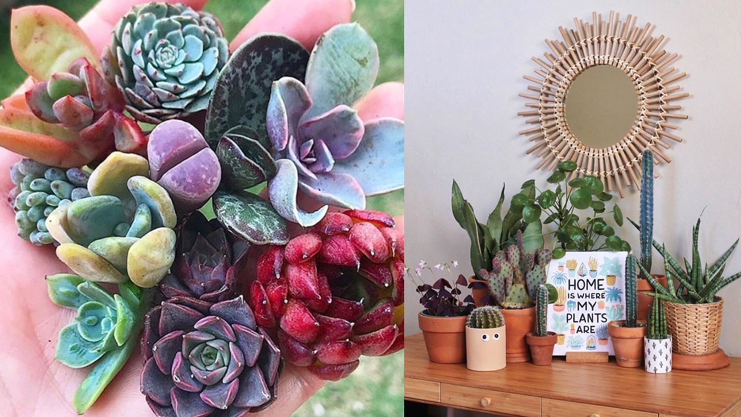 8 instagram &#x3BB;&#x3BF;&#x3B3;&#x3B1;&#x3C1;&#x3B9;&#x3B1;&#x3C3;&#x3BC;&#x3BF;&#x3AF; &#x3B3;&#x3B9;&#x3B1; &#x3B5;&#x3C3;&#x3AD;&#x3BD;&#x3B1; &#x3C0;&#x3BF;&#x3C5; &#x3BB;&#x3B1;&#x3C4;&#x3C1;&#x3B5;&#x3CD;&#x3B5;&#x3B9;&#x3C2; &#x3C4;&#x3B1; &#x3C6;&#x3C5;&#x3C4;&#x3AC;!