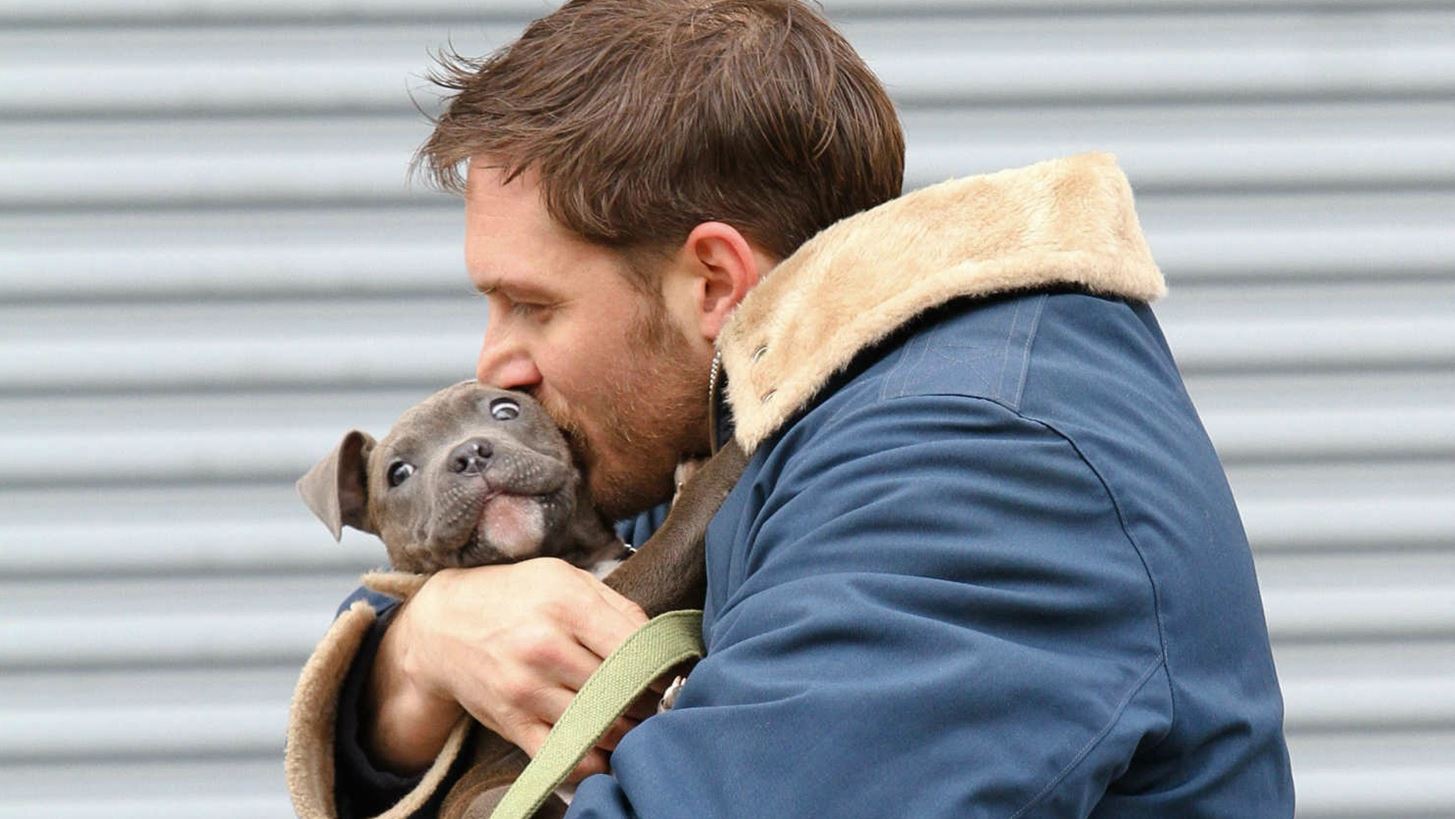 &#x39A;&#x3B9; &#x3AD;&#x3C4;&#x3C3;&#x3B9; &#x3B1;&#x3C0;&#x3BB;&#x3AC; &#x3BF; Tom Hardy &#x3AD;&#x3C3;&#x3C9;&#x3C3;&#x3B5; &#x3BC;&#x3B9;&#x3B1; &#x3B1;&#x3B3;&#x3AD;&#x3BB;&#x3B7; &#x3B1;&#x3C0;&#x3CC; &#x3B1;&#x3B4;&#x3AD;&#x3C3;&#x3C0;&#x3BF;&#x3C4;&#x3B1; &#x3BA;&#x3BF;&#x3C5;&#x3C4;&#x3AC;&#x3B2;&#x3B9;&#x3B1;