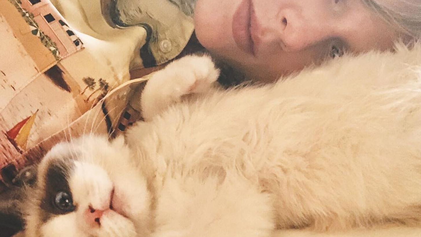 &#x397; Taylor Swift &#x3AD;&#x3C7;&#x3B5;&#x3B9; &#x3C4;&#x3B9;&#x3C2; &#x3C0;&#x3B9;&#x3BF; &#x3B4;&#x3B9;&#x3AC;&#x3C3;&#x3B7;&#x3BC;&#x3B5;&#x3C2; &#x3B3;&#x3AC;&#x3C4;&#x3B5;&#x3C2; &#x3C4;&#x3BF;&#x3C5; Instagram
