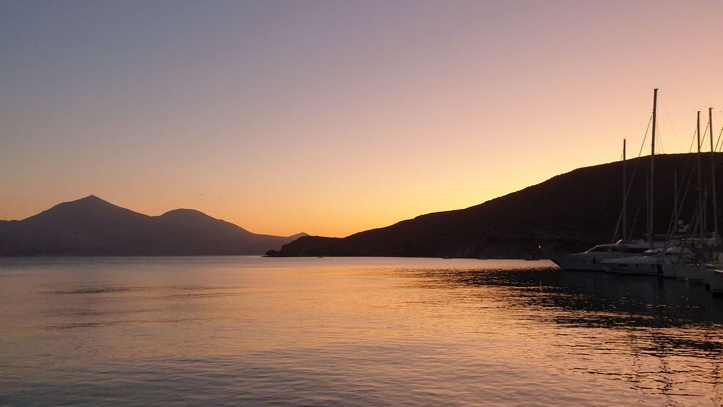 #Tidbits *: Amazing Milos