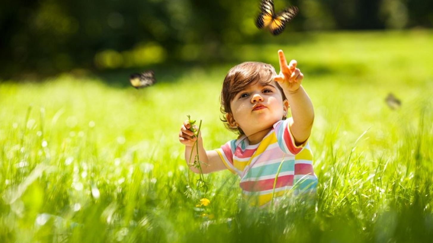 &#x397; &#x3C1;&#x3CD;&#x3C0;&#x3B1;&#x3BD;&#x3C3;&#x3B7; &#x3C4;&#x3BF;&#x3C5; &#x3B1;&#x3AD;&#x3C1;&#x3B1; &#x3BC;&#x3B5;&#x3B9;&#x3CE;&#x3BD;&#x3B5;&#x3B9; &#x3BA;&#x3B1;&#x3C4;&#x3AC; 20 &#x3BC;&#x3AE;&#x3BD;&#x3B5;&#x3C2; &#x3C4;&#x3BF; &#x3C0;&#x3C1;&#x3BF;&#x3C3;&#x3B4;&#x3CC;&#x3BA;&#x3B9;&#x3BC;&#x3BF; &#x3B6;&#x3C9;&#x3AE;&#x3C2; &#x3C4;&#x3C9;&#x3BD; &#x3C0;&#x3B1;&#x3B9;&#x3B4;&#x3B9;&#x3CE;&#x3BD; &#x3C0;&#x3BF;&#x3C5; &#x3B3;&#x3B5;&#x3BD;&#x3BD;&#x3B9;&#x3BF;&#x3CD;&#x3BD;&#x3C4;&#x3B1;&#x3B9; &#x3C3;&#x3AE;&#x3BC;&#x3B5;&#x3C1;&#x3B1;