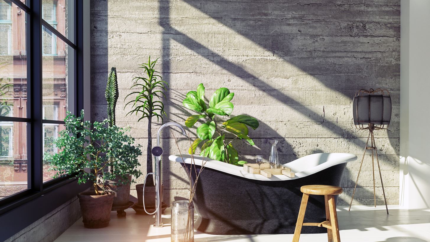 15 bathroom essentials &#x3B3;&#x3B9;&#x3B1; &#x3BD;&#x3B1; &#x3B5;&#x3BE;&#x3BF;&#x3C0;&#x3BB;&#x3AF;&#x3C3;&#x3B5;&#x3B9;&#x3C2; &#x3C4;&#x3BF; &#x3BC;&#x3C0;&#x3AC;&#x3BD;&#x3B9;&#x3BF; &#x3C3;&#x3BF;&#x3C5;