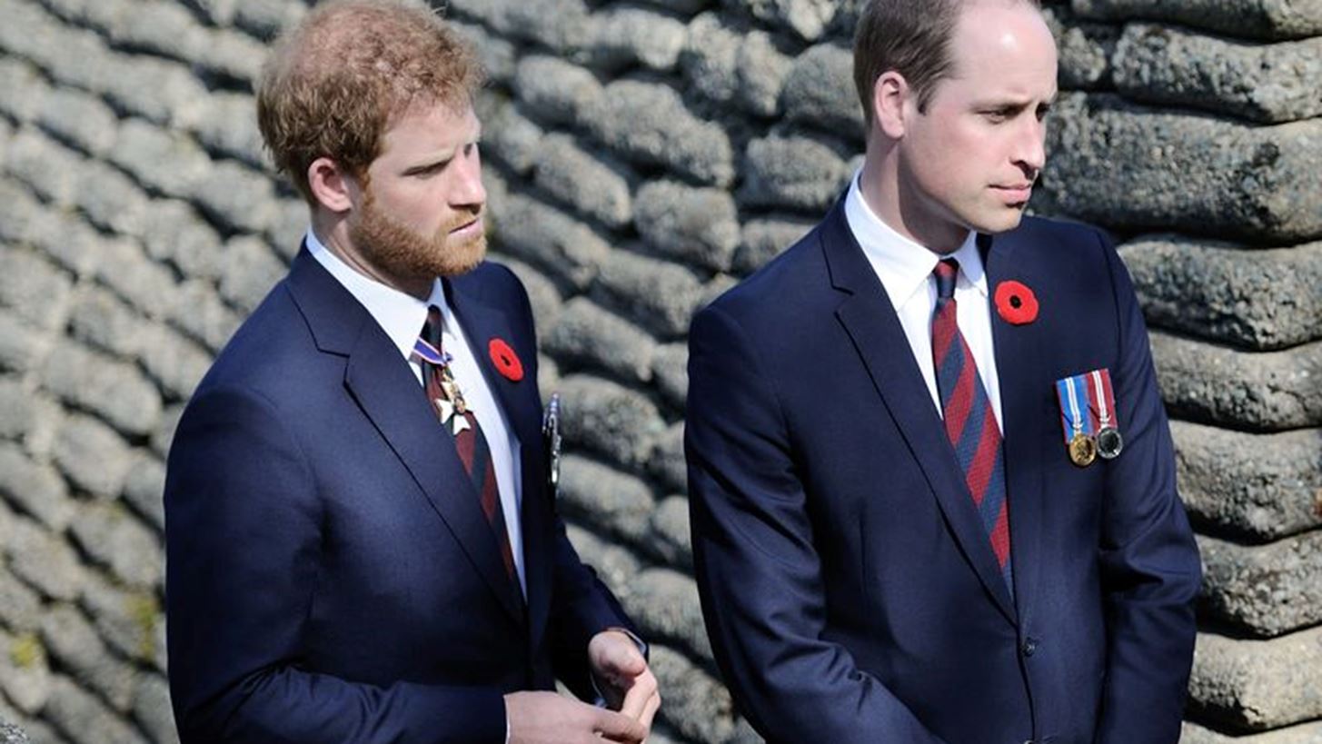 &#x39F;&#x3B9; &#x3C0;&#x3C1;&#x3AF;&#x3B3;&#x3BA;&#x3B9;&#x3C0;&#x3B5;&#x3C2; William &#x3BA;&#x3B1;&#x3B9; Harry &#x3B8;&#x3B1; &#x3B5;&#x3BC;&#x3C6;&#x3B1;&#x3BD;&#x3B9;&#x3C3;&#x3C4;&#x3BF;&#x3CD;&#x3BD; &#x3C3;&#x3B5; &#x3B4;&#x3CD;&#x3BF; &#x3BD;&#x3C4;&#x3BF;&#x3BA;&#x3C5;&#x3BC;&#x3B1;&#x3BD;&#x3C4;&#x3AD;&#x3C1; &#x3B3;&#x3B9;&#x3B1; &#x3C4;&#x3B7;&#x3BD; Diana