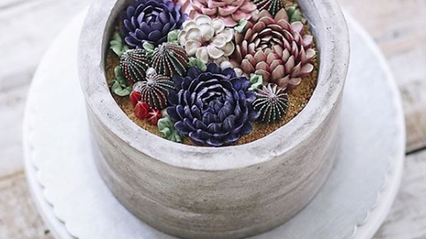 Terrarium Cakes: &#x397; &#x3BD;&#x3AD;&#x3B1; &#x3BC;&#x3B1;&#x3C2; &#x3B5;&#x3BC;&#x3BC;&#x3BF;&#x3BD;&#x3AE; &#x3C3;&#x3C4;&#x3BF; Instagram
