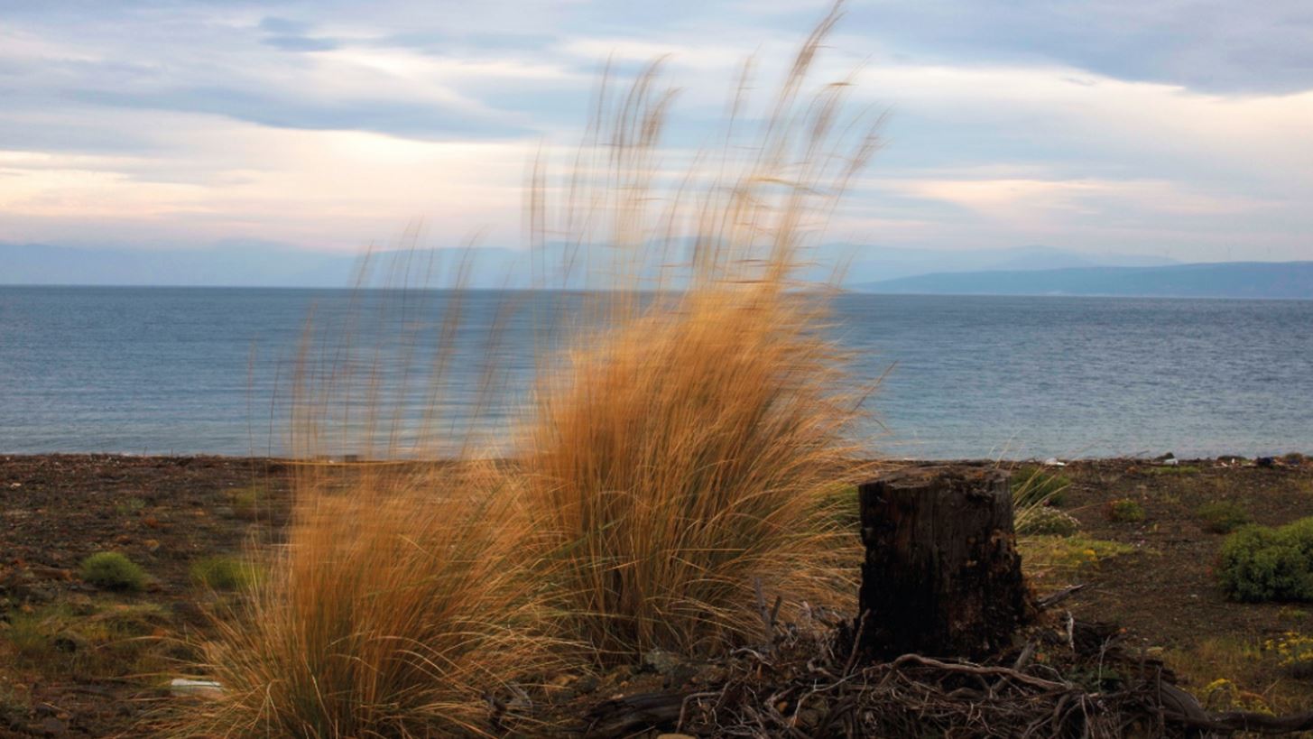 Εθνική Λυρική Σκηνή | Τριήμερο εκδηλώσεων στη Βόρεια Εύβοια