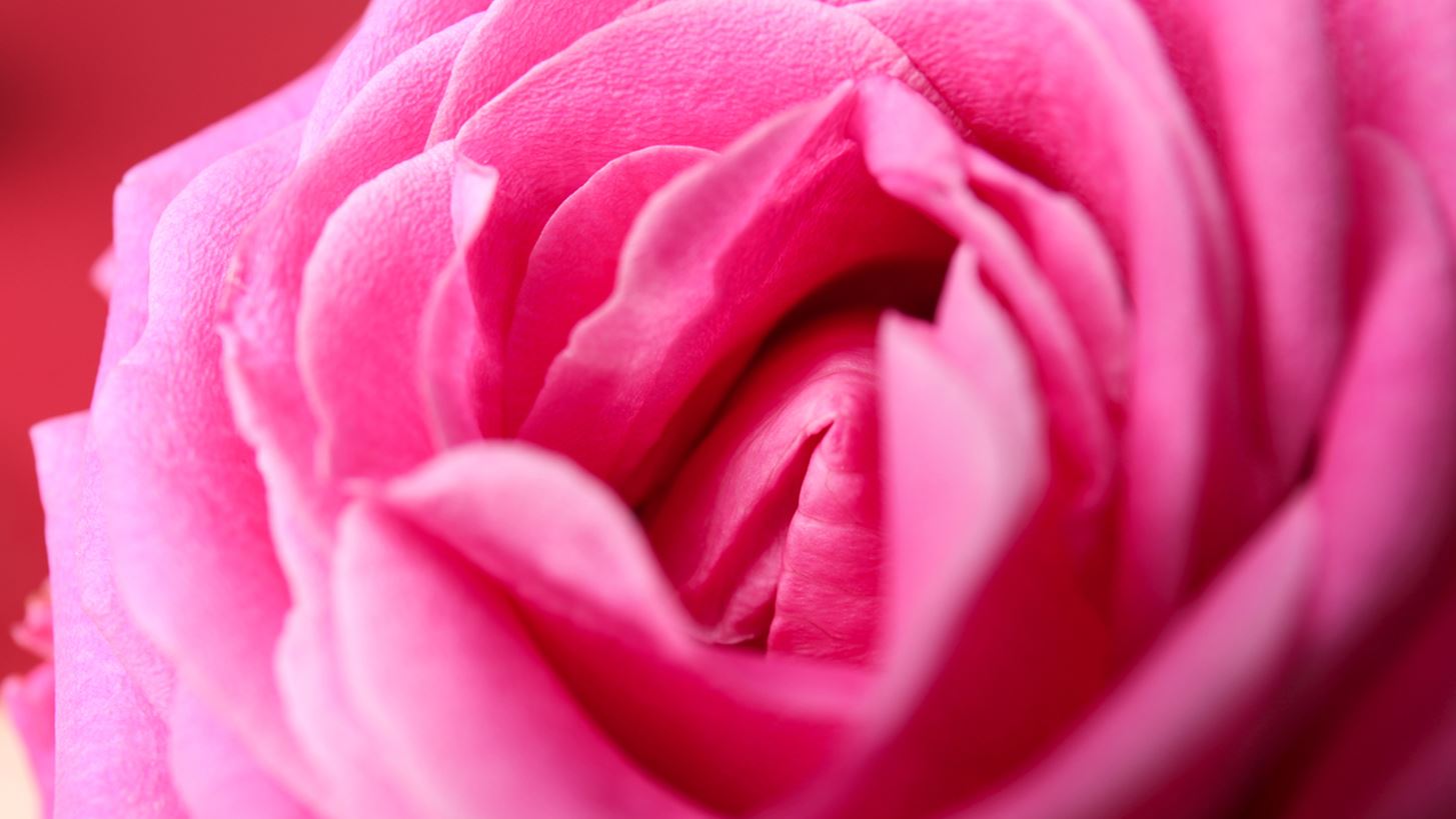 10 πράγματα που δεν γνωρίζεις για τον γυναικείο κόλπο