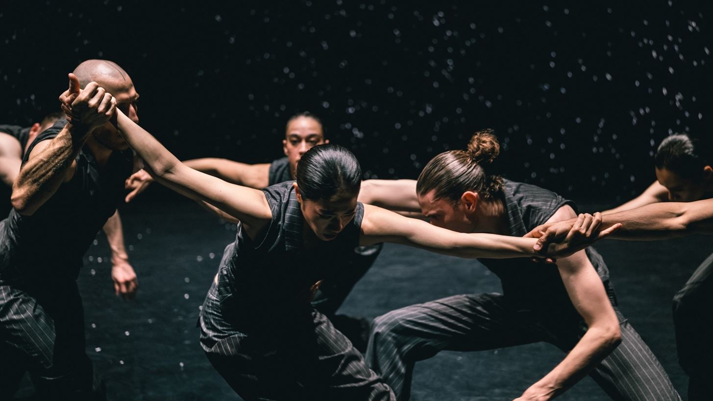 Nederlands Dans Theater | &#x397; &#x3BA;&#x3BF;&#x3C1;&#x3C5;&#x3C6;&#x3B1;&#x3AF;&#x3B1; &#x3BF;&#x3BC;&#x3AC;&#x3B4;&#x3B1; &#x3C3;&#x3CD;&#x3B3;&#x3C7;&#x3C1;&#x3BF;&#x3BD;&#x3BF;&#x3C5; &#x3C7;&#x3BF;&#x3C1;&#x3BF;&#x3CD; &#x3B5;&#x3C0;&#x3B9;&#x3C3;&#x3C4;&#x3C1;&#x3AD;&#x3C6;&#x3B5;&#x3B9; &#x3C3;&#x3C4;&#x3BF; &#x39C;&#x3AD;&#x3B3;&#x3B1;&#x3C1;&#x3BF;