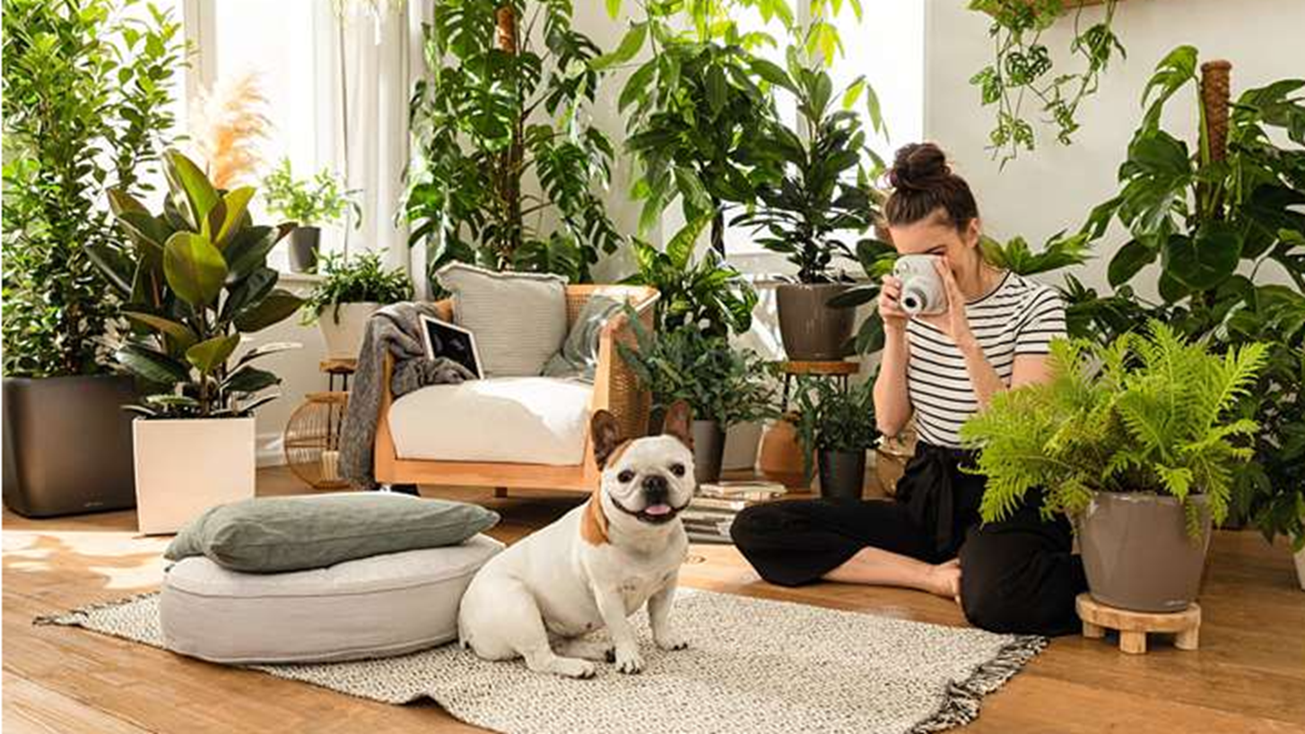 &#x3A0;&#x3CE;&#x3C2; &#x3B8;&#x3B1; &#x3BC;&#x3B5;&#x3C4;&#x3B1;&#x3C4;&#x3C1;&#x3AD;&#x3C8;&#x3B5;&#x3B9;&#x3C2; &#x3C4;&#x3BF; &#x3C7;&#x3CE;&#x3C1;&#x3BF; &#x3C3;&#x3BF;&#x3C5; &#x3C3;&#x3B5; &#x3C0;&#x3C1;&#x3AC;&#x3C3;&#x3B9;&#x3BD;&#x3B7; &#x3CC;&#x3B1;&#x3C3;&#x3B7;