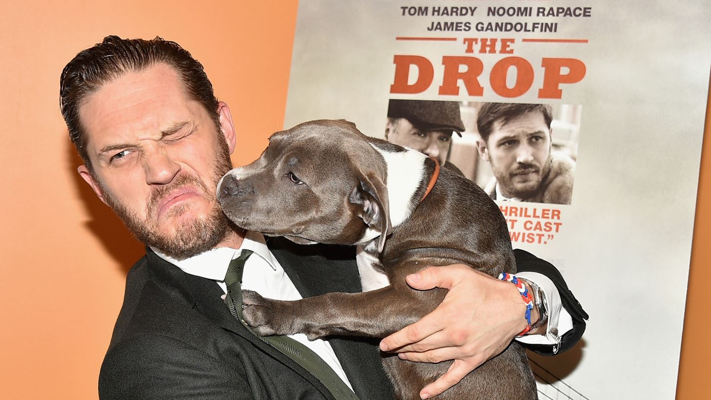 &#x39F; Tom Hardy &#x3BA;&#x3AC;&#x3BD;&#x3B5;&#x3B9; &#x3C6;&#x3C9;&#x3BD;&#x3AE; Bane &#x3C3;&#x3C4;&#x3BF;&#x3BD; &#x3C3;&#x3BA;&#x3CD;&#x3BB;&#x3BF; &#x3C4;&#x3BF;&#x3C5;, &#x3C4;&#x3BF; &#x3AF;&#x3BD;&#x3C4;&#x3B5;&#x3C1;&#x3BD;&#x3B5;&#x3C4; &#x3C4;&#x3C1;&#x3B5;&#x3BB;&#x3B1;&#x3AF;&#x3BD;&#x3B5;&#x3C4;&#x3B1;&#x3B9;