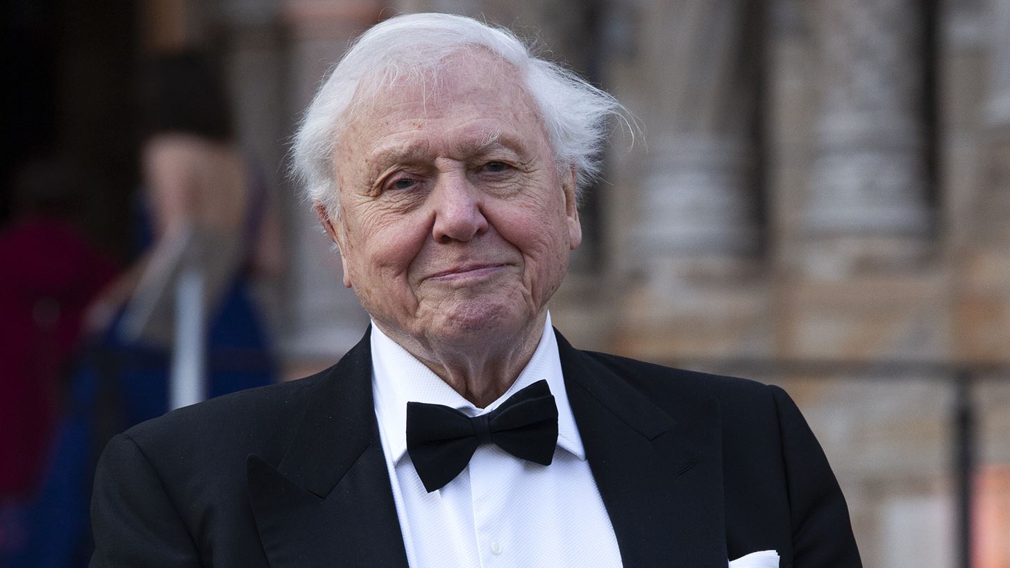 &#x39F; &#x3C3;&#x3B5;&#x3C1; David Attenborough &#x3C5;&#x3C0;&#x3BF;&#x3C8;&#x3AE;&#x3C6;&#x3B9;&#x3BF;&#x3C2; &#x3B3;&#x3B9;&#x3B1; &#x39D;&#x3CC;&#x3BC;&#x3C0;&#x3B5;&#x3BB; &#x395;&#x3B9;&#x3C1;&#x3AE;&#x3BD;&#x3B7;&#x3C2;