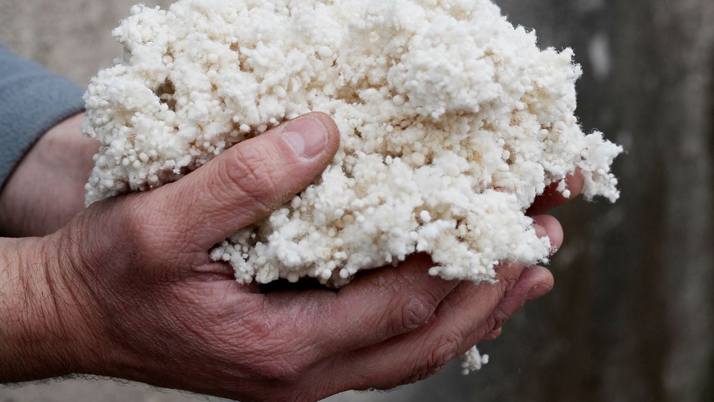 &#x393;&#x3B9;&#x3B1; &#x3C0;&#x3C1;&#x3CE;&#x3C4;&#x3B7; &#x3C6;&#x3BF;&#x3C1;&#x3AC; &#x3B2;&#x3C1;&#x3B1;&#x3B2;&#x3B5;&#x3CD;&#x3B5;&#x3C4;&#x3B1;&#x3B9; &#x3B5;&#x3BB;&#x3BB;&#x3B7;&#x3BD;&#x3B9;&#x3BA;&#x3AE; &#x3C3;&#x3C5;&#x3BC;&#x3BC;&#x3B5;&#x3C4;&#x3BF;&#x3C7;&#x3AE; &#x3B1;&#x3C0;&#x3CC; &#x3C4;&#x3BF;&#x3BD; &#x3C0;&#x3B1;&#x3B3;&#x3BA;&#x3BF;&#x3C3;&#x3BC;&#x3AF;&#x3BF;&#x3C5; &#x3BA;&#x3CD;&#x3C1;&#x3BF;&#x3C5;&#x3C2; &#x3B8;&#x3B5;&#x3C3;&#x3BC;&#x3CC; &#x3C4;&#x3BF;&#x3C5; design &#x3C4;&#x3B7;&#x3C2; Maison&amp;Objet