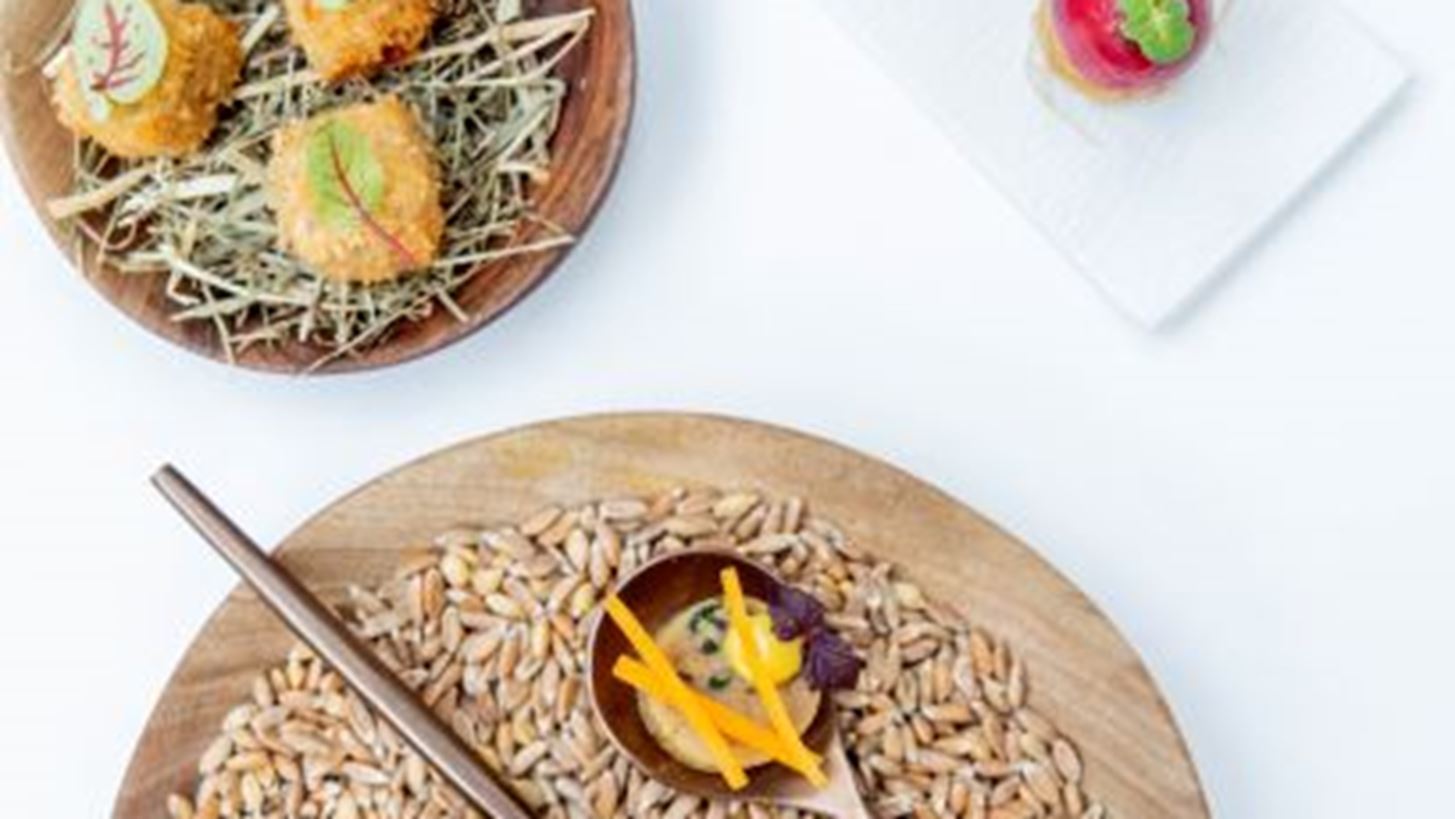 &quot;45 &#x3C3;&#x3C5;&#x3BD;&#x3C4;&#x3B1;&#x3B3;&#x3AD;&#x3C2; &#x3B1;&#x3C0;&#x3CC; &#x3C4;&#x3B7;&#x3BD; &#x395;&#x3BB;&#x3BB;&#x3AC;&#x3B4;&#x3B1;, &#x3C6;&#x3C4;&#x3B9;&#x3B1;&#x3B3;&#x3BC;&#x3AD;&#x3BD;&#x3B5;&#x3C2; &#x3BC;&#x3B5; &#x3B1;&#x3B3;&#x3AC;&#x3C0;&#x3B7;&quot;: &#x3A4;&#x3BF; &#x3B2;&#x3B9;&#x3B2;&#x3BB;&#x3AF;&#x3BF; &#x3C4;&#x3BF;&#x3C5; &#x391;&#x3BD;&#x3B4;&#x3C1;&#x3AD;&#x3B1; &#x39C;&#x3B1;&#x3C5;&#x3C1;&#x3BF;&#x3BC;&#x3BC;&#x3AC;&#x3C4;&#x3B7; &#x3BA;&#x3C5;&#x3BA;&#x3BB;&#x3BF;&#x3C6;&#x3BF;&#x3C1;&#x3B5;&#x3AF; &#x3C3;&#x3C4;&#x3B1; &#x3B5;&#x3BB;&#x3BB;&#x3B7;&#x3BD;&#x3B9;&#x3BA;&#x3AC;