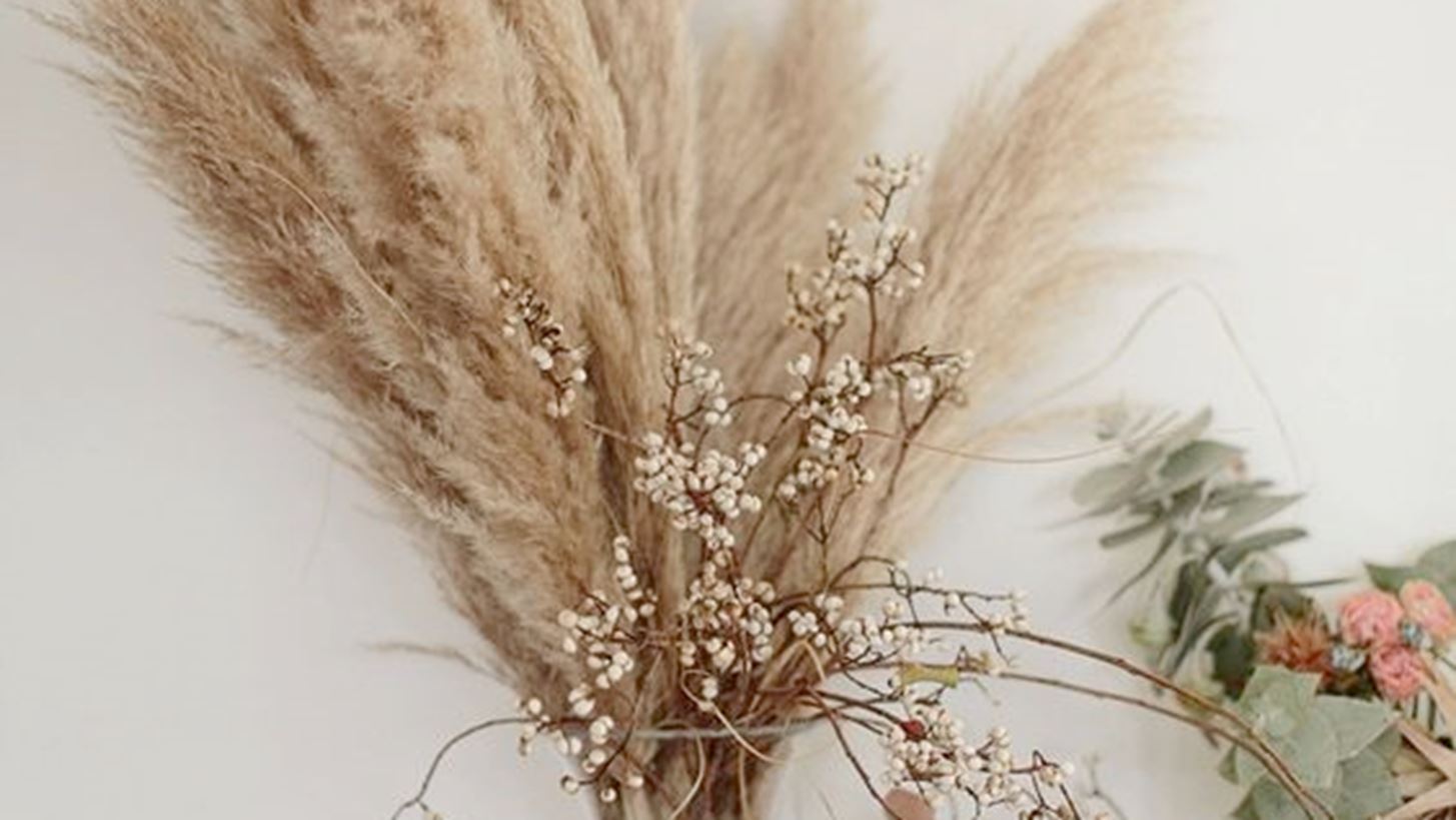 &#x39F;&#x3B9; 3 &#x3C4;&#x3AC;&#x3C3;&#x3B5;&#x3B9;&#x3C2; &#x3C0;&#x3BF;&#x3C5; &#x3BA;&#x3C5;&#x3C1;&#x3B9;&#x3B1;&#x3C1;&#x3C7;&#x3BF;&#x3CD;&#x3BD; &#x3C3;&#x3C4;&#x3B1; &#x3C6;&#x3C5;&#x3C4;&#x3AC; &#x3B5;&#x3C3;&#x3C9;&#x3C4;&#x3B5;&#x3C1;&#x3B9;&#x3BA;&#x3BF;&#x3CD; &#x3C7;&#x3CE;&#x3C1;&#x3BF;&#x3C5;