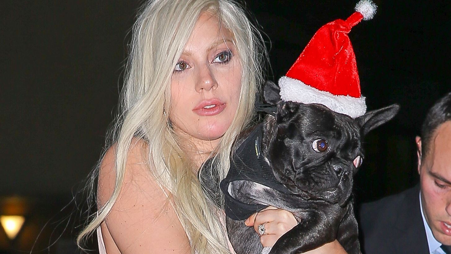 Lady Gaga | &#x3A4;&#x3BF; &#x3B4;&#x3B9;&#x3BA;&#x3B1;&#x3C3;&#x3C4;&#x3AE;&#x3C1;&#x3B9;&#x3BF; &#x3B5;&#x3C0;&#x3AD;&#x3B2;&#x3B1;&#x3BB;&#x3BB;&#x3B5; 21 &#x3AD;&#x3C4;&#x3B7; &#x3C6;&#x3C5;&#x3BB;&#x3AC;&#x3BA;&#x3B9;&#x3C3;&#x3B7;&#x3C2; &#x3C3;&#x3C4;&#x3BF;&#x3BD; &#x3B1;&#x3C0;&#x3B1;&#x3B3;&#x3C9;&#x3B3;&#x3AD;&#x3B1; &#x3C4;&#x3C9;&#x3BD; &#x3C3;&#x3BA;&#x3C5;&#x3BB;&#x3B9;&#x3CE;&#x3BD; &#x3C4;&#x3B7;&#x3C2;