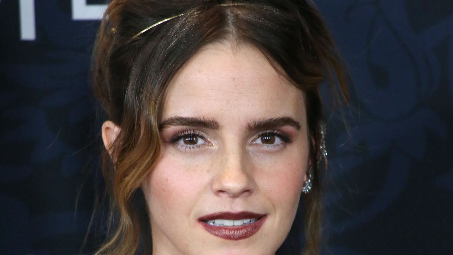 &#x397; Emma Watson &#x3B2;&#x3C1;&#x3AE;&#x3BA;&#x3B5; &#x3C4;&#x3BF;&#x3BD; &#x3C0;&#x3B9;&#x3BF; &#x3C0;&#x3C1;&#x3C9;&#x3C4;&#x3CC;&#x3C4;&#x3C5;&#x3C0;&#x3BF; DIY &#x3C4;&#x3C1;&#x3CC;&#x3C0;&#x3BF; &#x3BD;&#x3B1; &#x3C0;&#x3C1;&#x3BF;&#x3C9;&#x3B8;&#x3AE;&#x3C3;&#x3B5;&#x3B9; &#x3C4;&#x3B9;&#x3C2; &#x39C;&#x3B9;&#x3BA;&#x3C1;&#x3AD;&#x3C2; &#x39A;&#x3C5;&#x3C1;&#x3AF;&#x3B5;&#x3C2;