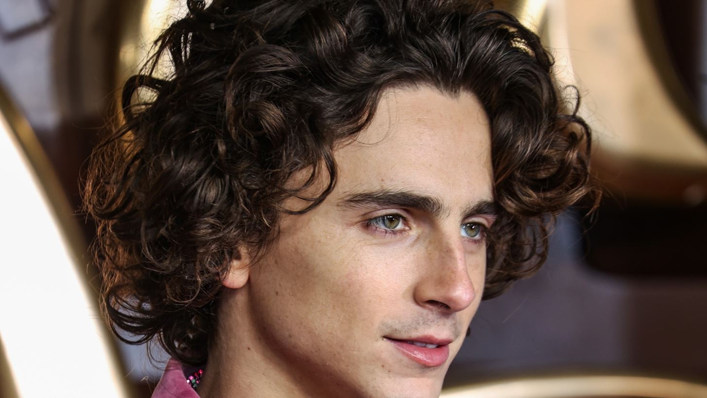 Timoth&#xE9;e Chalamet | &#x3A4;&#x3BF; &#x3B5;&#x3BD;&#x3C4;&#x3C5;&#x3C0;&#x3C9;&#x3C3;&#x3B9;&#x3B1;&#x3BA;&#x3CC; &#x3BA;&#x3AD;&#x3C1;&#x3B9;&#x3BD;&#x3BF; &#x3BF;&#x3BC;&#x3BF;&#x3AF;&#x3C9;&#x3BC;&#x3AC; &#x3C4;&#x3BF;&#x3C5; &#x3C3;&#x3C4;&#x3BF; &#x3BC;&#x3BF;&#x3C5;&#x3C3;&#x3B5;&#x3AF;&#x3BF;