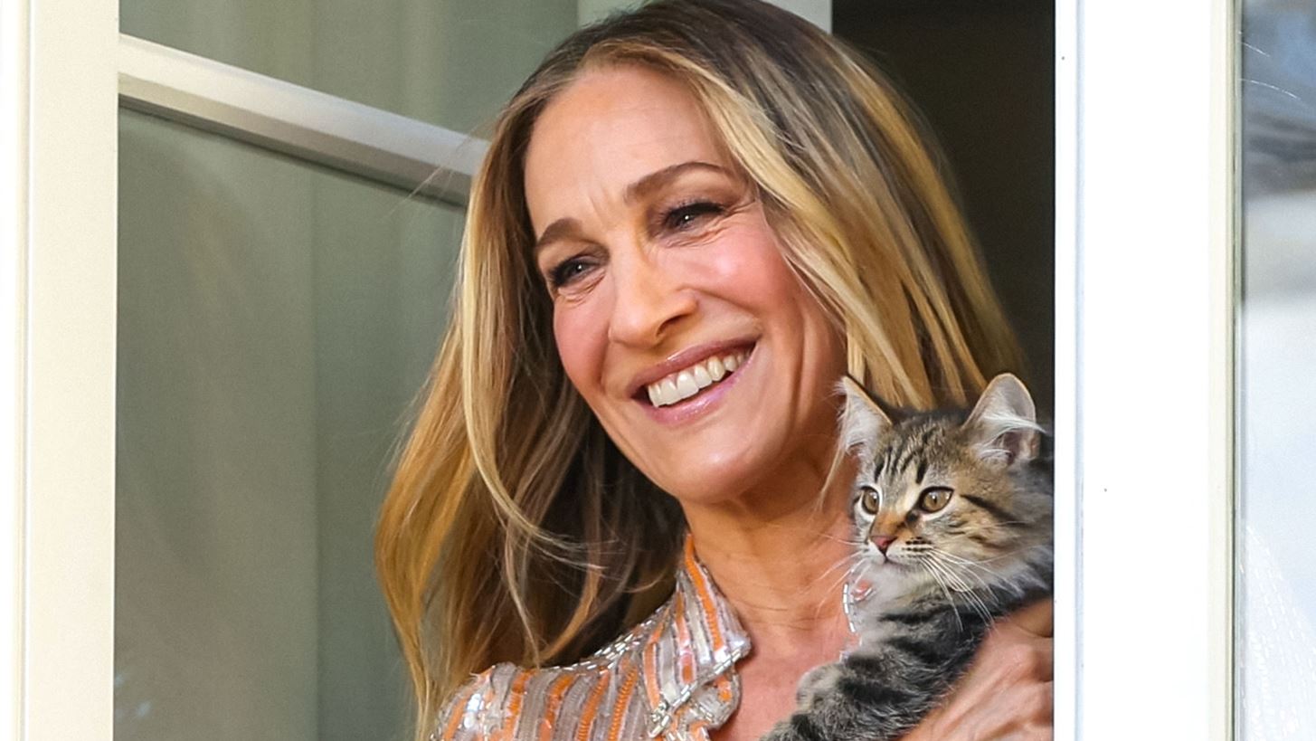 &#x3A4;&#x3AD;&#x3BB;&#x3BF;&#x3C2; &#x3B5;&#x3C0;&#x3BF;&#x3C7;&#x3AE;&#x3C2; &#x3B3;&#x3B9;&#x3B1; &#x3C4;&#x3BF; &#x3B4;&#x3B9;&#x3B1;&#x3BC;&#x3AD;&#x3C1;&#x3B9;&#x3C3;&#x3BC;&#x3B1; &#x3C4;&#x3B7;&#x3C2; Carrie Bradshaw &#x3C3;&#x3C4;&#x3B7; &#x39D;&#x3AD;&#x3B1; &#x3A5;&#x3CC;&#x3C1;&#x3BA;&#x3B7;