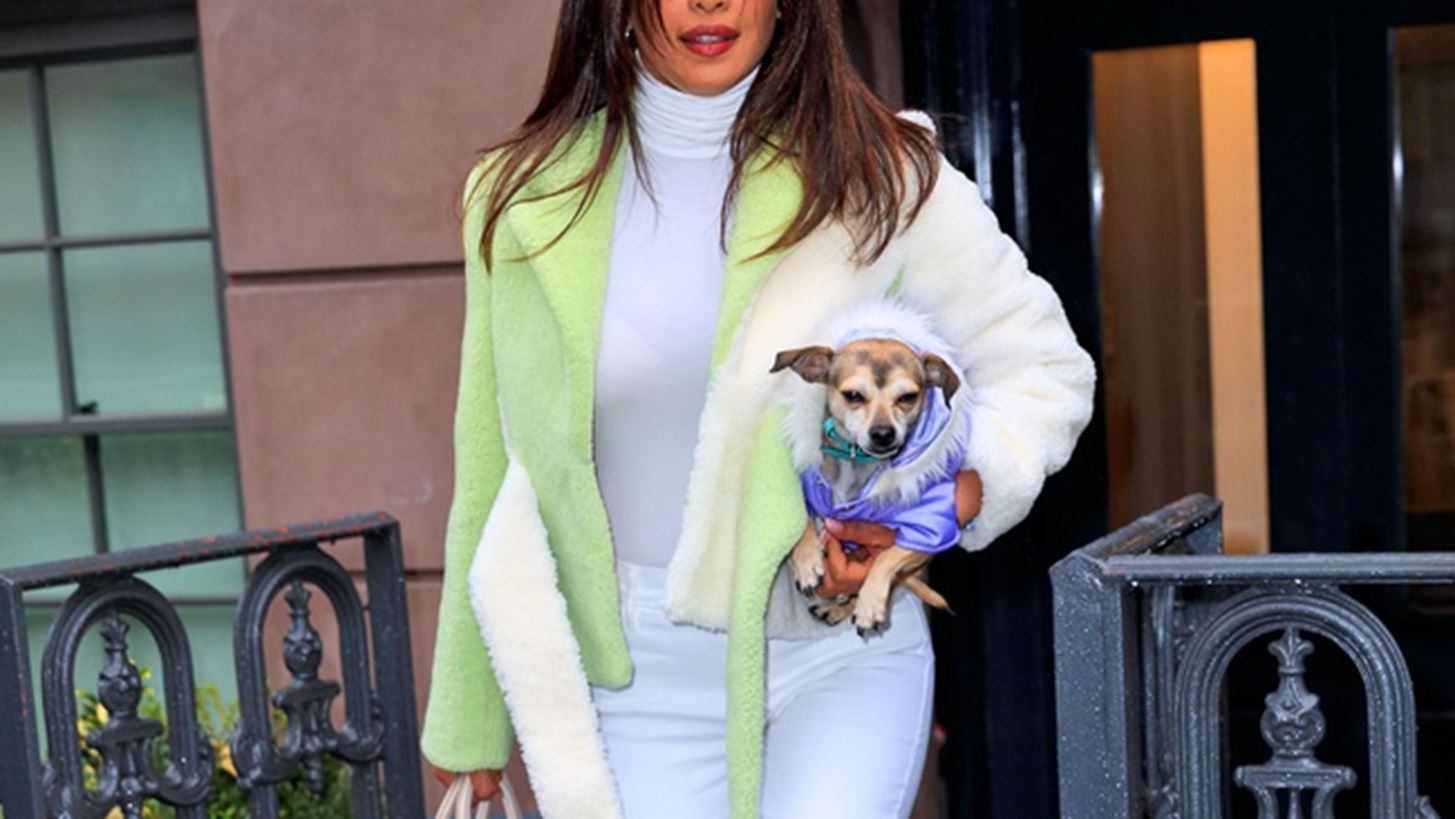 Priyanka Chopra &amp; Bradley Cooper: &#x3A0;&#x3BF;&#x3CD; &#x3C4;&#x3BF;&#x3C5;&#x3C2; &#x3B5;&#x3BD;&#x3C4;&#x3CC;&#x3C0;&#x3B9;&#x3C3;&#x3B5; &#x3BF; &#x3C6;&#x3C9;&#x3C4;&#x3BF;&#x3B3;&#x3C1;&#x3B1;&#x3C6;&#x3B9;&#x3BA;&#x3CC;&#x3C2; &#x3C6;&#x3B1;&#x3BA;&#x3CC;&#x3C2;;